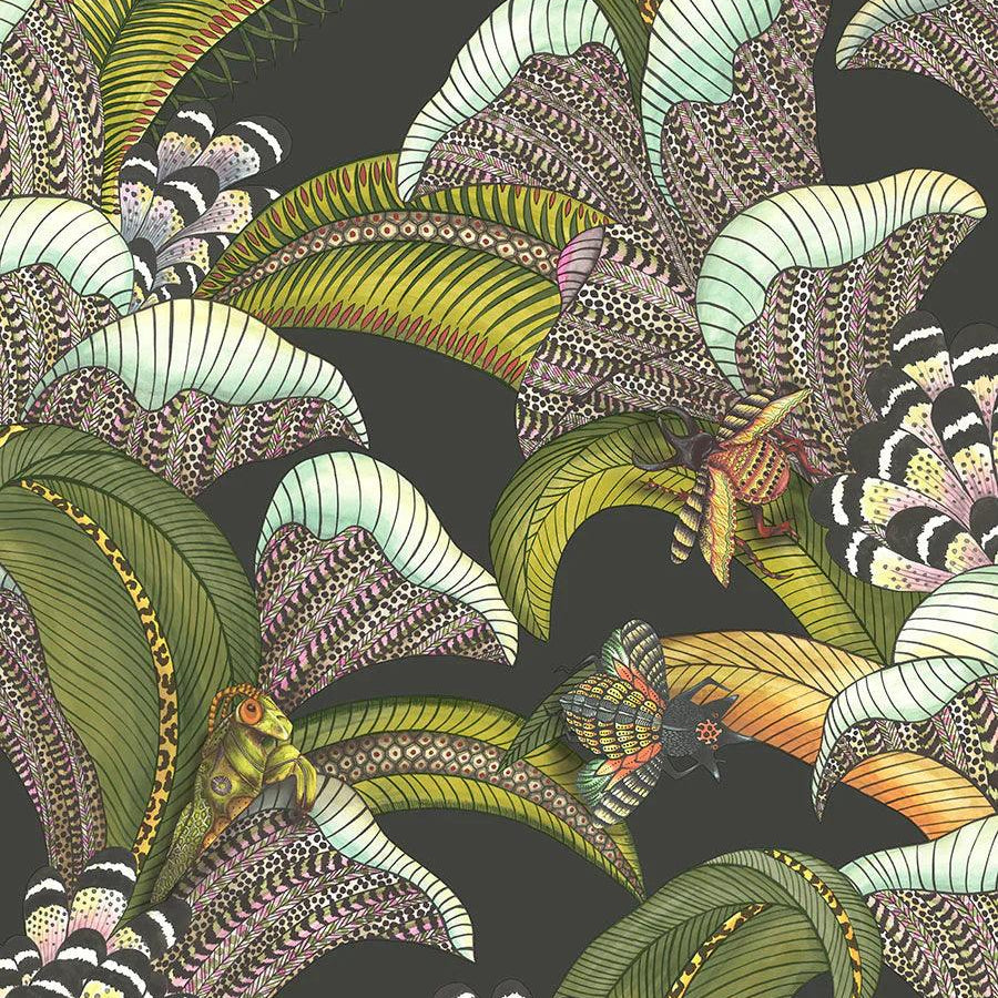 Tapeta ARDMORE JABULA - Hoopoe Leaves zieleń na czarnym Cole & Son Default Title Eye on Design