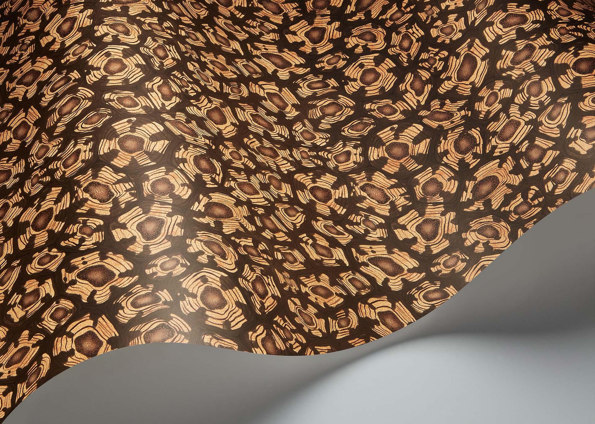 Tapeta ARDMORE JABULA - Savanna Shell ochra Cole & Son Eye on Design