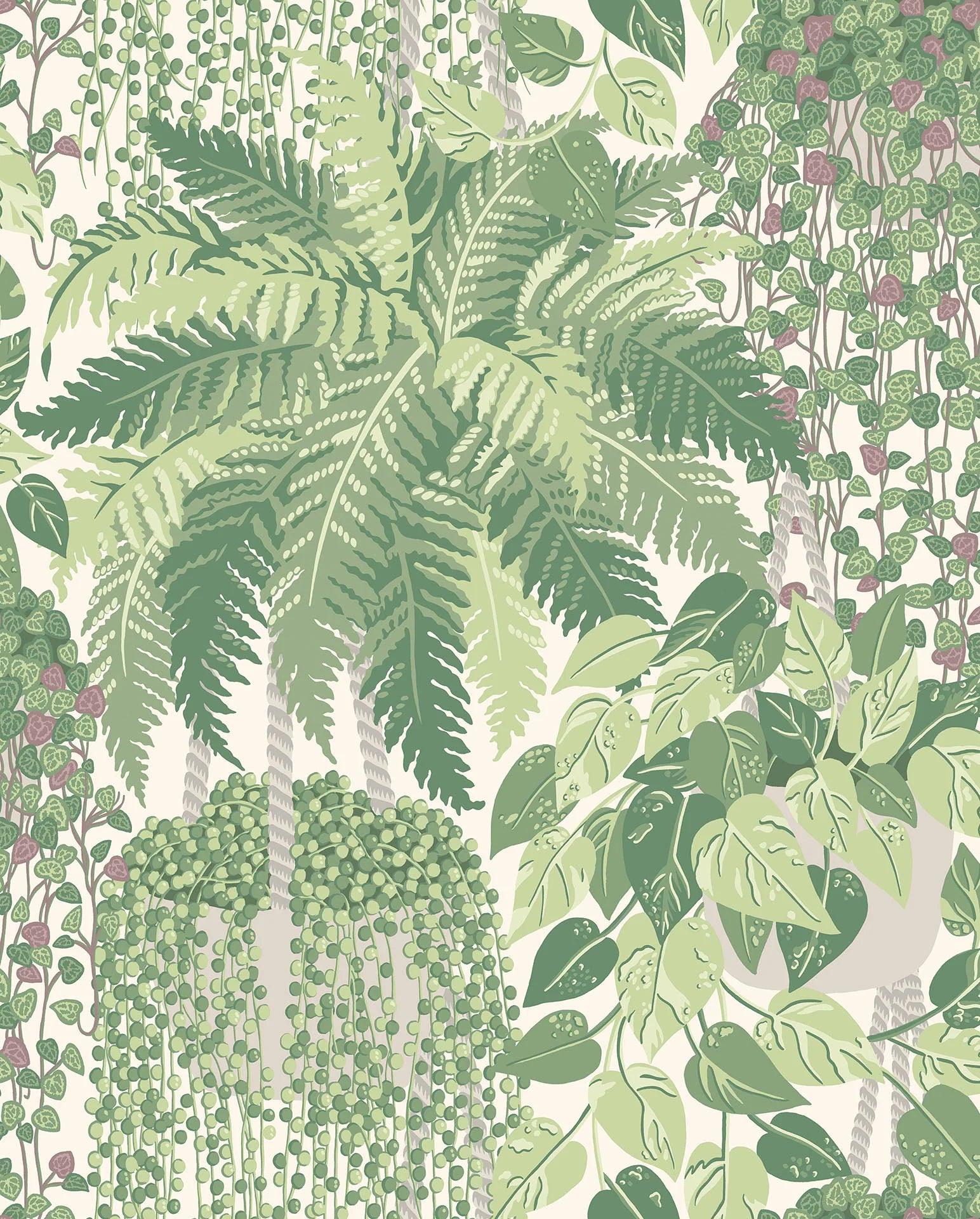 Tapeta BOTANICAL BOTANICA - Fern zielony Cole & Son Default Title Eye on Design