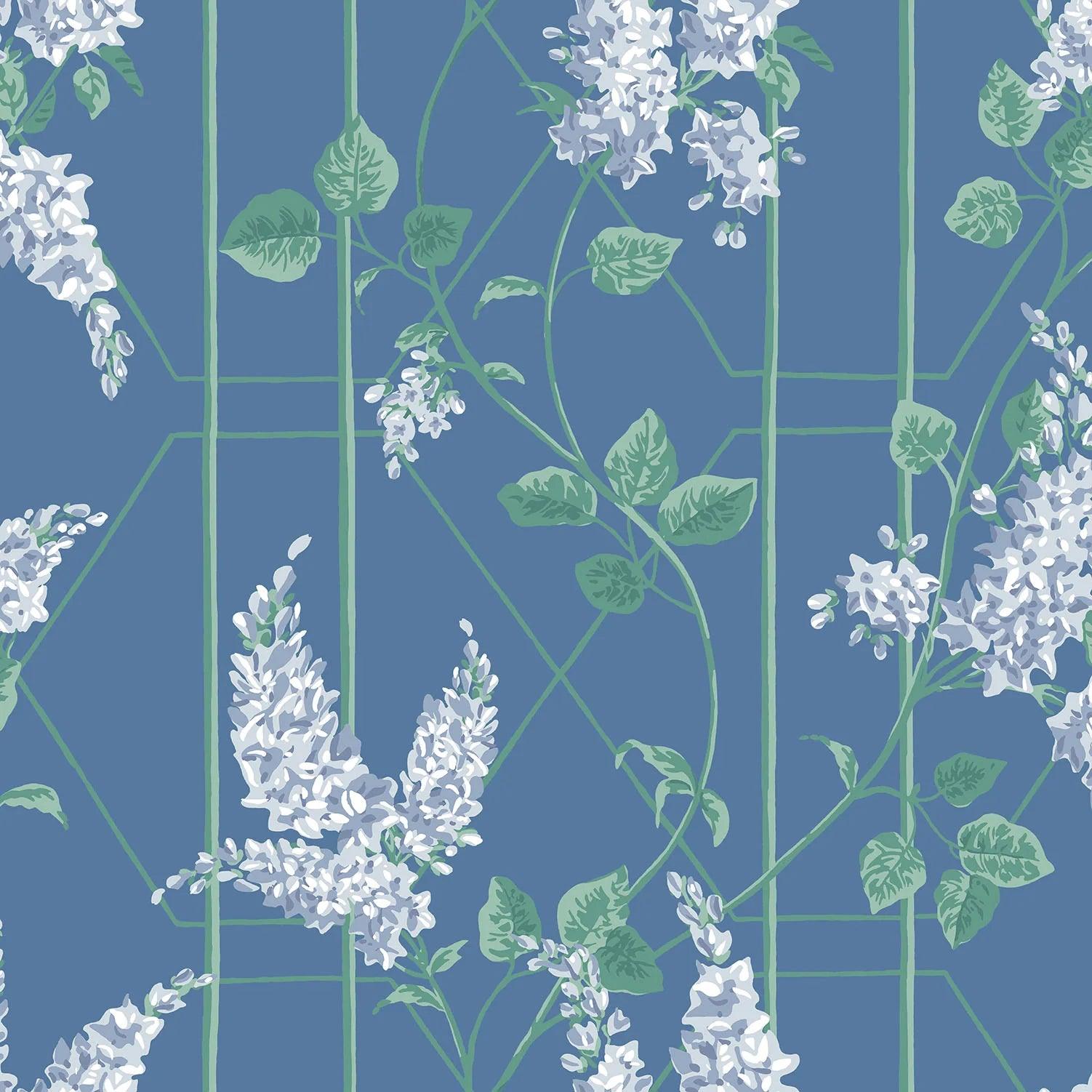 Tapeta BOTANICAL BOTANICA - Wisteria niebieski Cole & Son Default Title Eye on Design