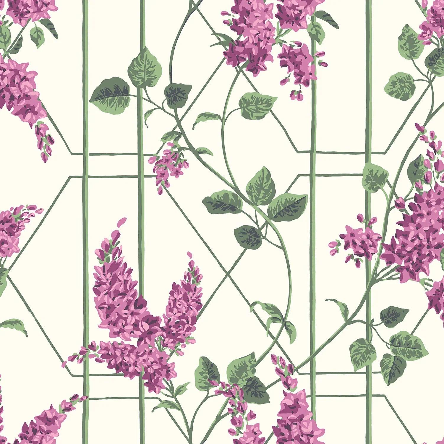 Tapeta BOTANICAL BOTANICA - Wisteria róż na białym Cole & Son Default Title Eye on Design
