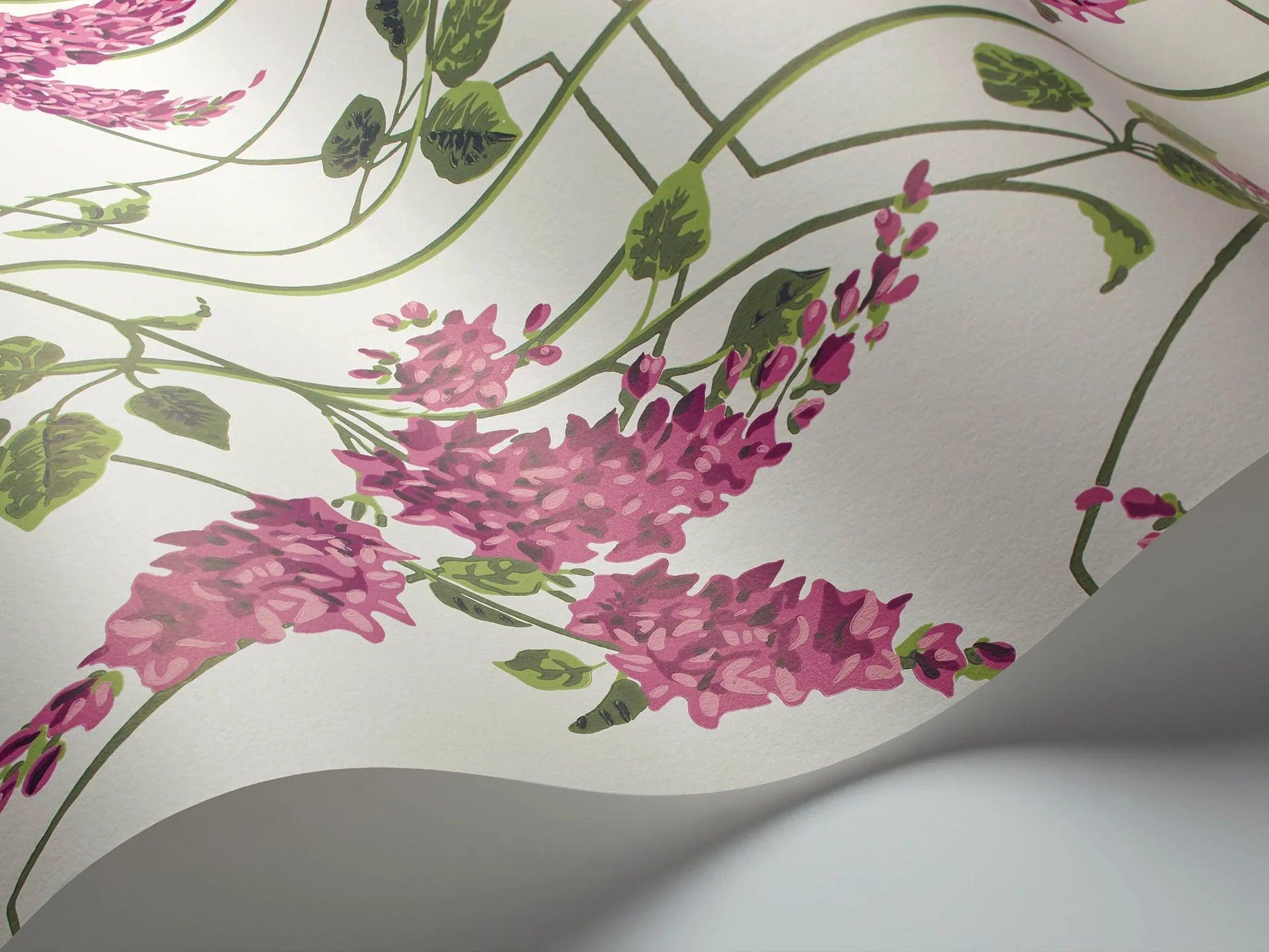 Tapeta BOTANICAL BOTANICA - Wisteria róż na białym Cole & Son Eye on Design