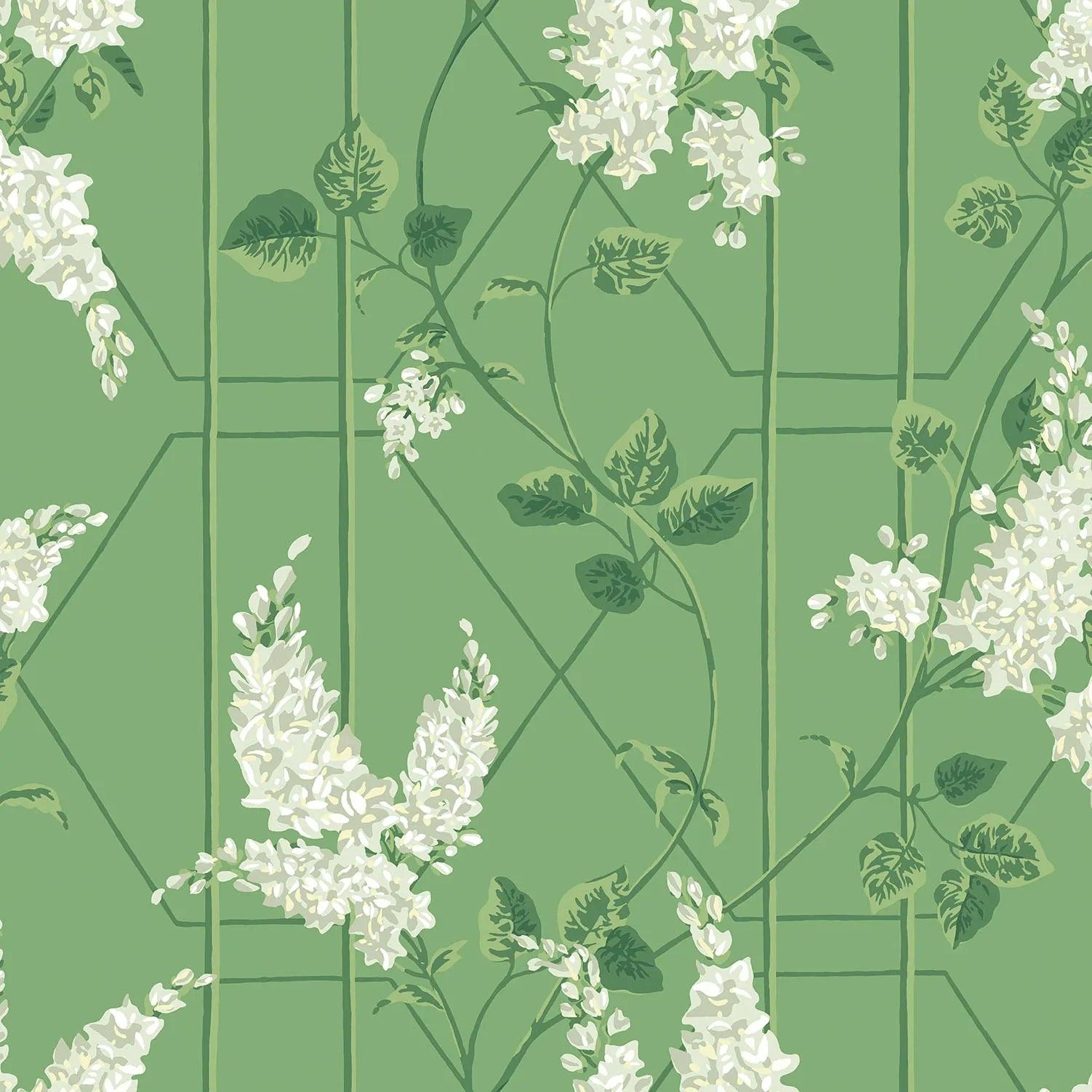 Tapeta BOTANICAL BOTANICA - Wisteria zielony Cole & Son Default Title Eye on Design