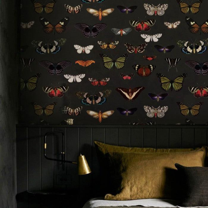 Tapeta Colorful Butterfly Green Wallcolors Eye on Design