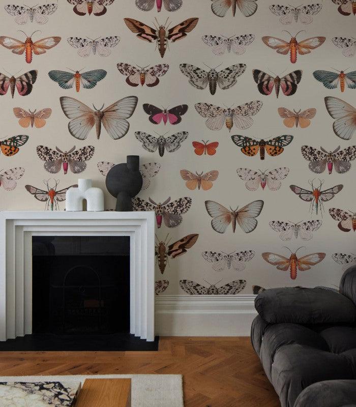 Tapeta Colorful Butterfly Light Beige Wallcolors Eye on Design