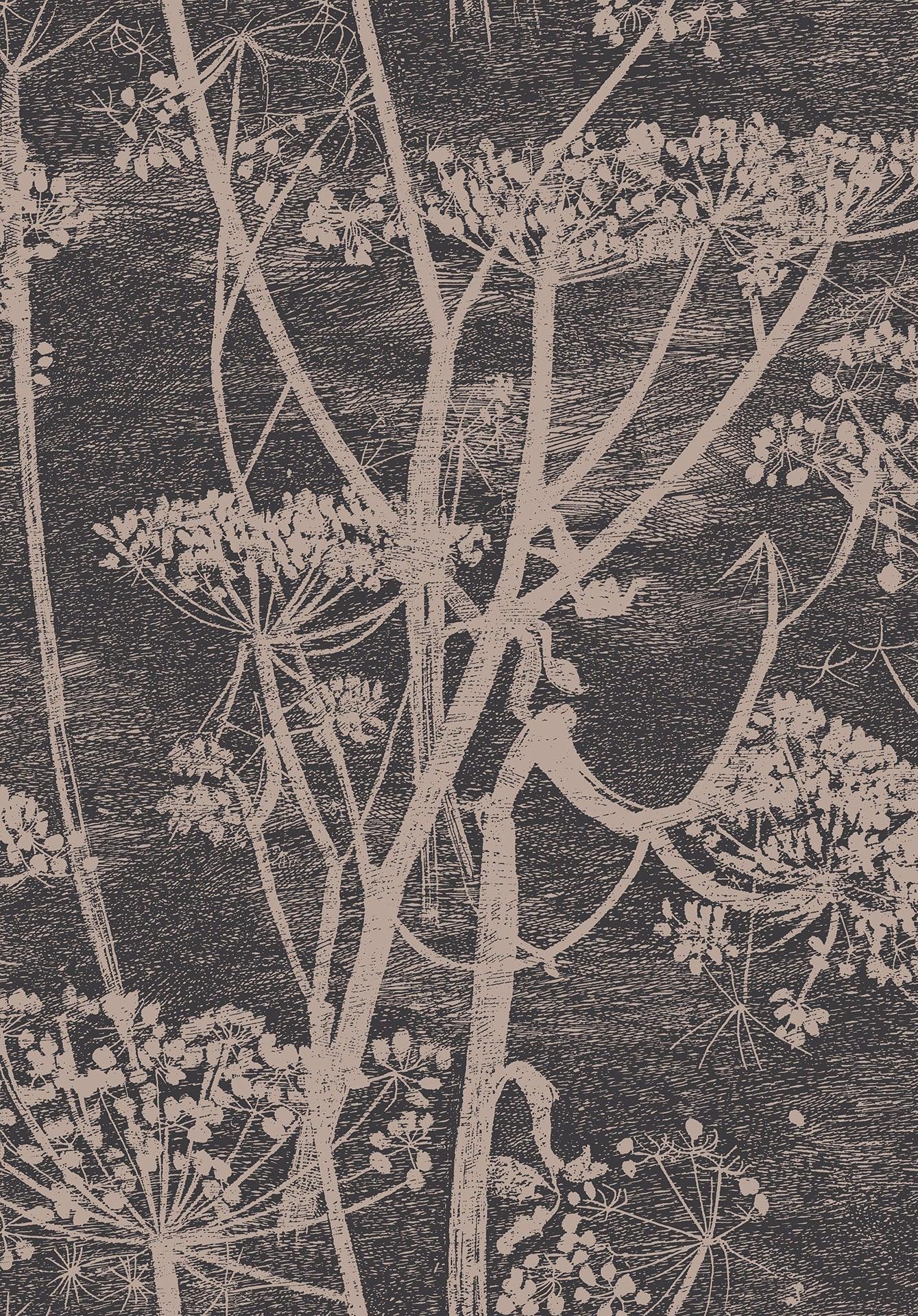 Tapeta CONTEMPORARY COLLECTION - Cow Parsley ciemny brąz Cole & Son Default Title Eye on Design