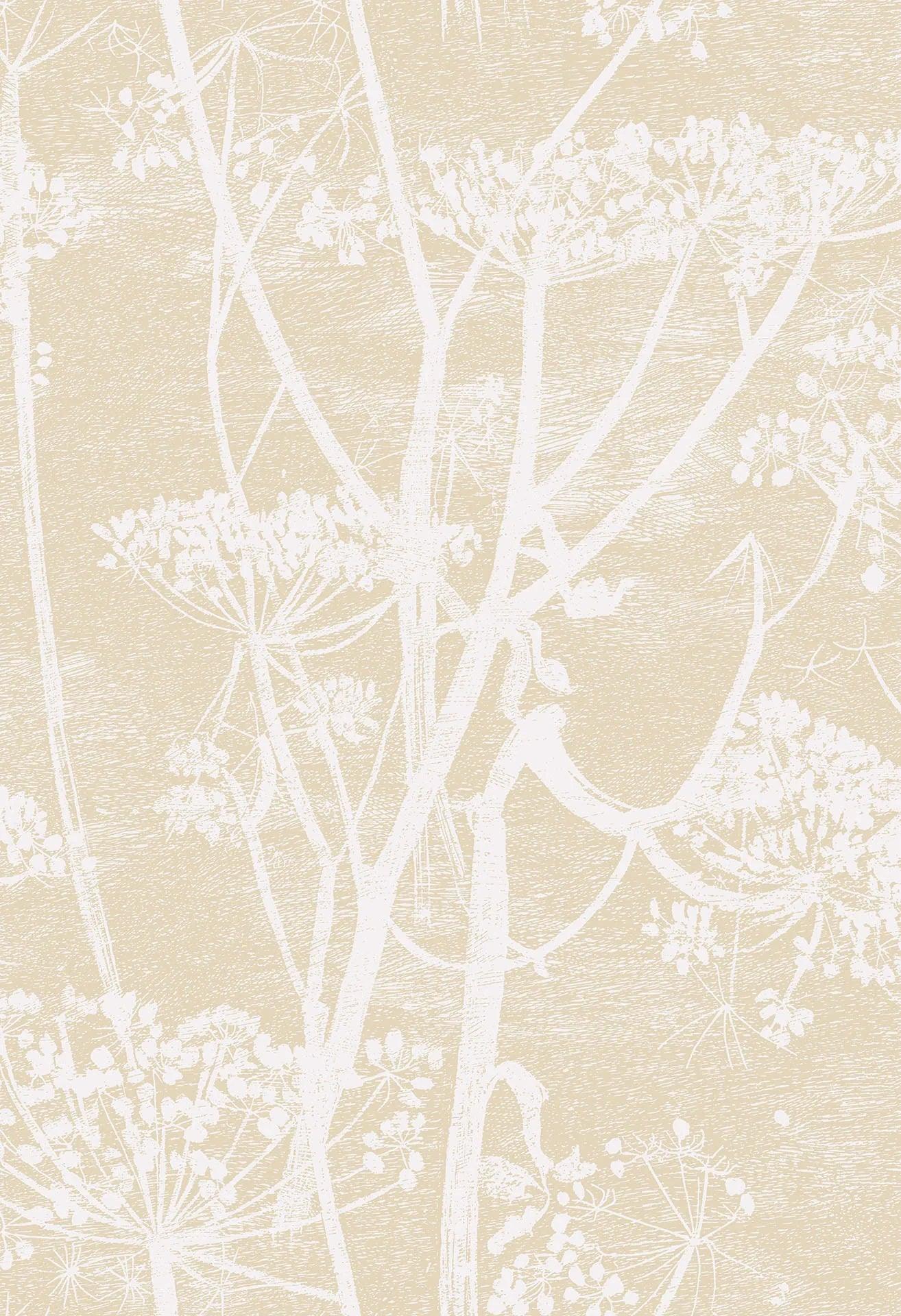 Tapeta CONTEMPORARY COLLECTION - Cow Parsley ciepły beż Cole & Son Default Title Eye on Design