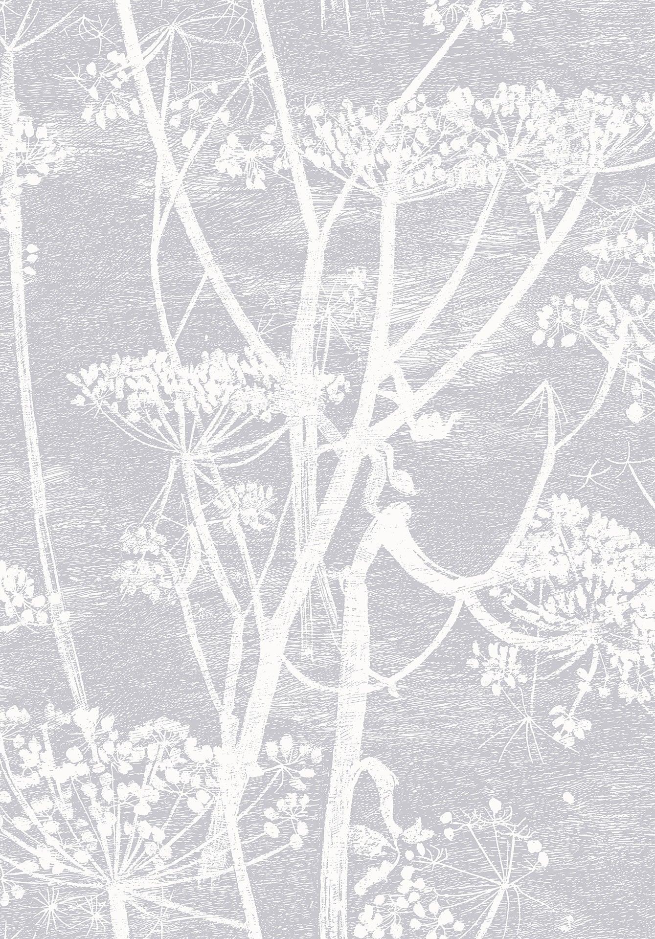 Tapeta CONTEMPORARY COLLECTION - Cow Parsley szary Cole & Son Default Title Eye on Design