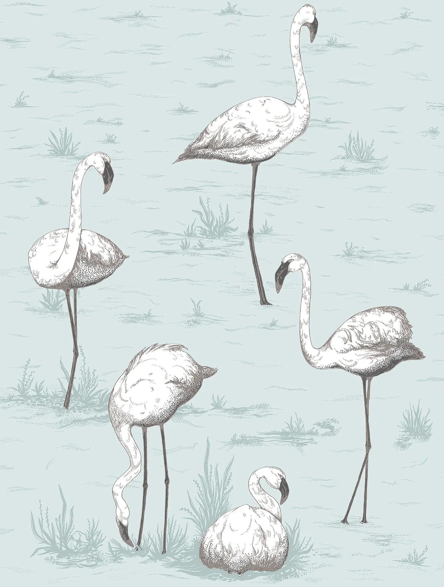 Tapeta CONTEMPORARY COLLECTION - Flamingos niebieski Cole & Son Default Title Eye on Design
