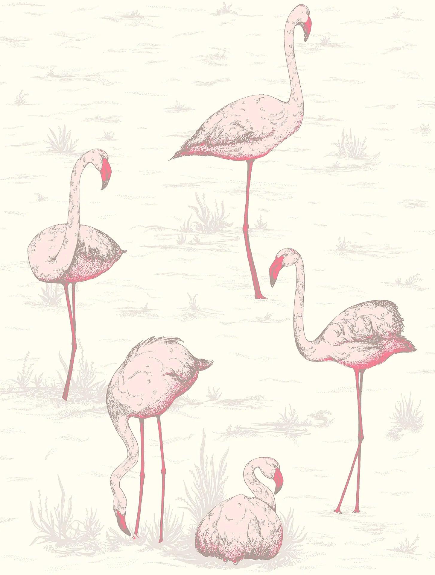 Tapeta CONTEMPORARY COLLECTION - Flamingos różowy Cole & Son Default Title Eye on Design