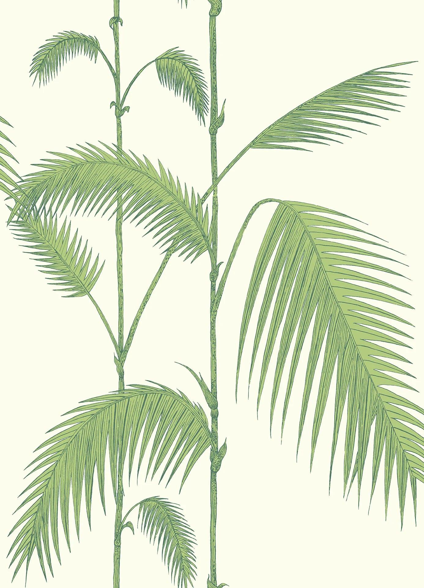 Tapeta CONTEMPORARY COLLECTION - Palm Leaves oliwkowy Cole & Son Default Title Eye on Design
