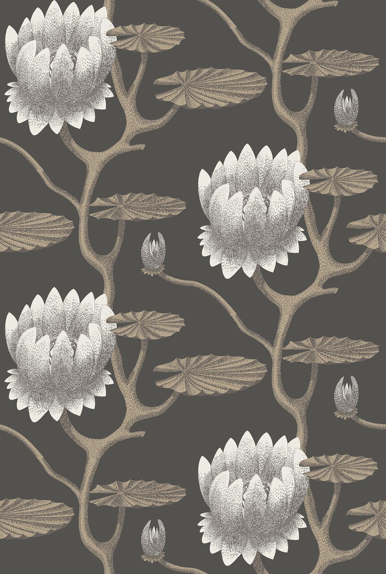 Tapeta CONTEMPORARY COLLECTION - Summer Lily brązowy Cole & Son Default Title Eye on Design