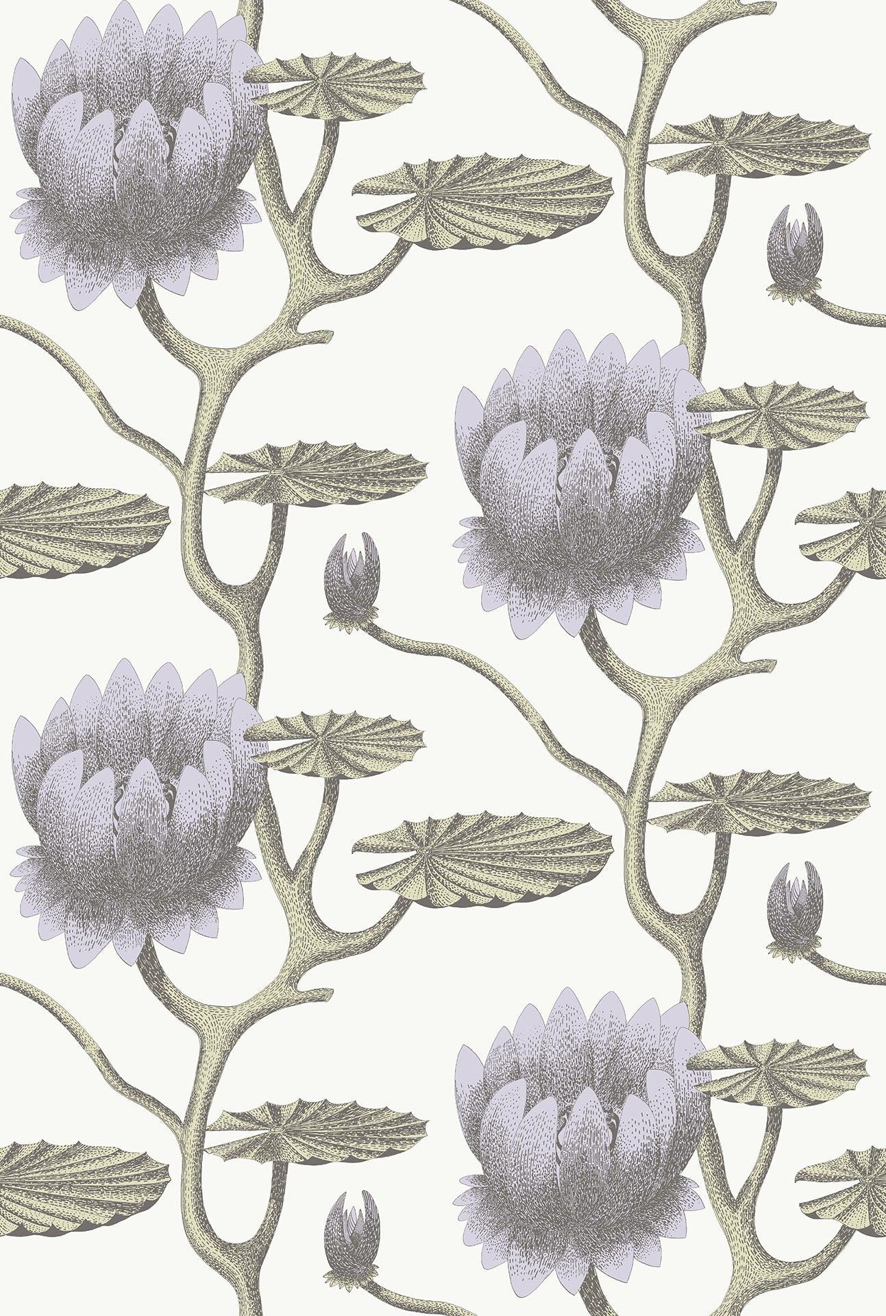 Tapeta CONTEMPORARY COLLECTION - Summer Lily fiolet na bieli Cole & Son Eye on Design