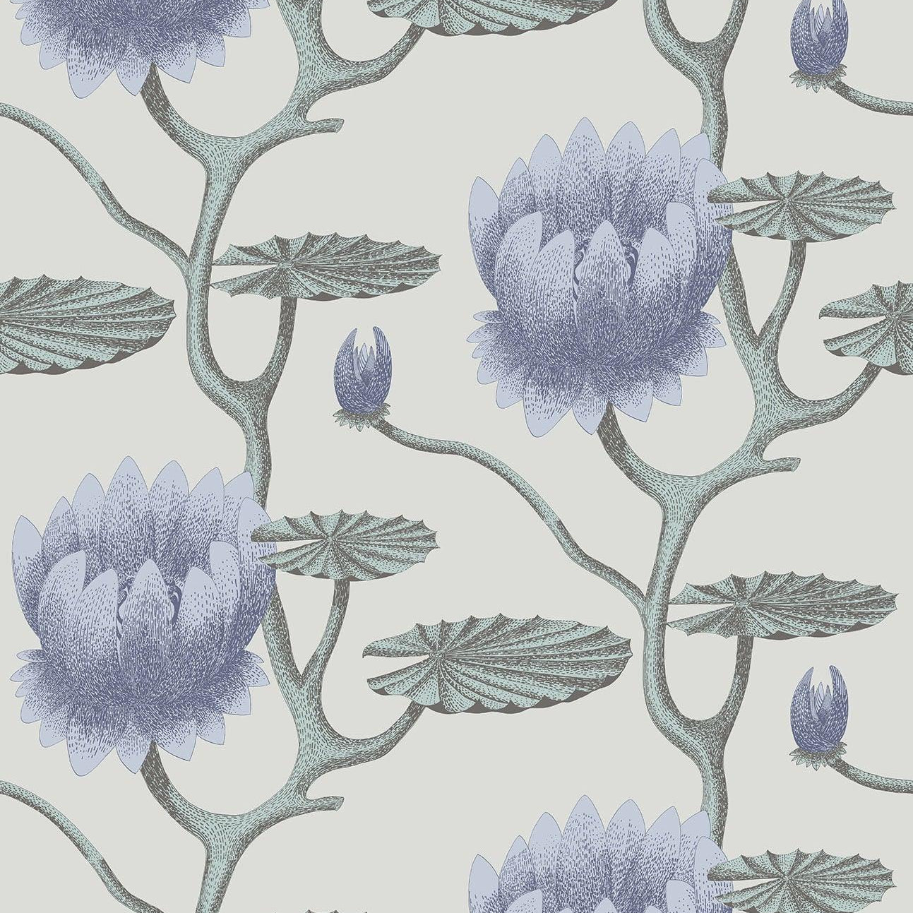 Tapeta CONTEMPORARY COLLECTION - Summer Lily niebieski na szarym Cole & Son Default Title Eye on Design