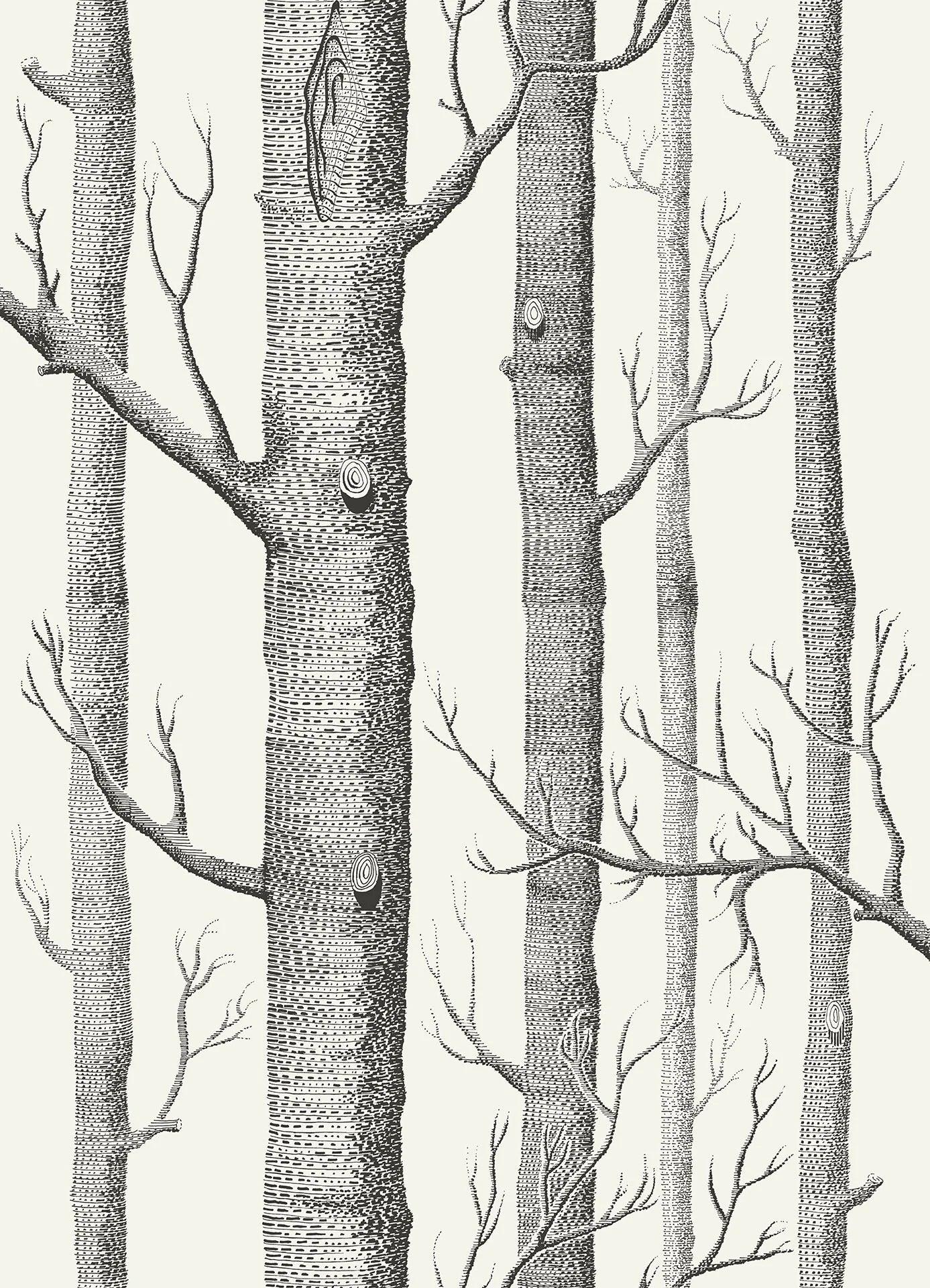 Tapeta CONTEMPORARY COLLECTION - Woods biały Cole & Son Default Title Eye on Design