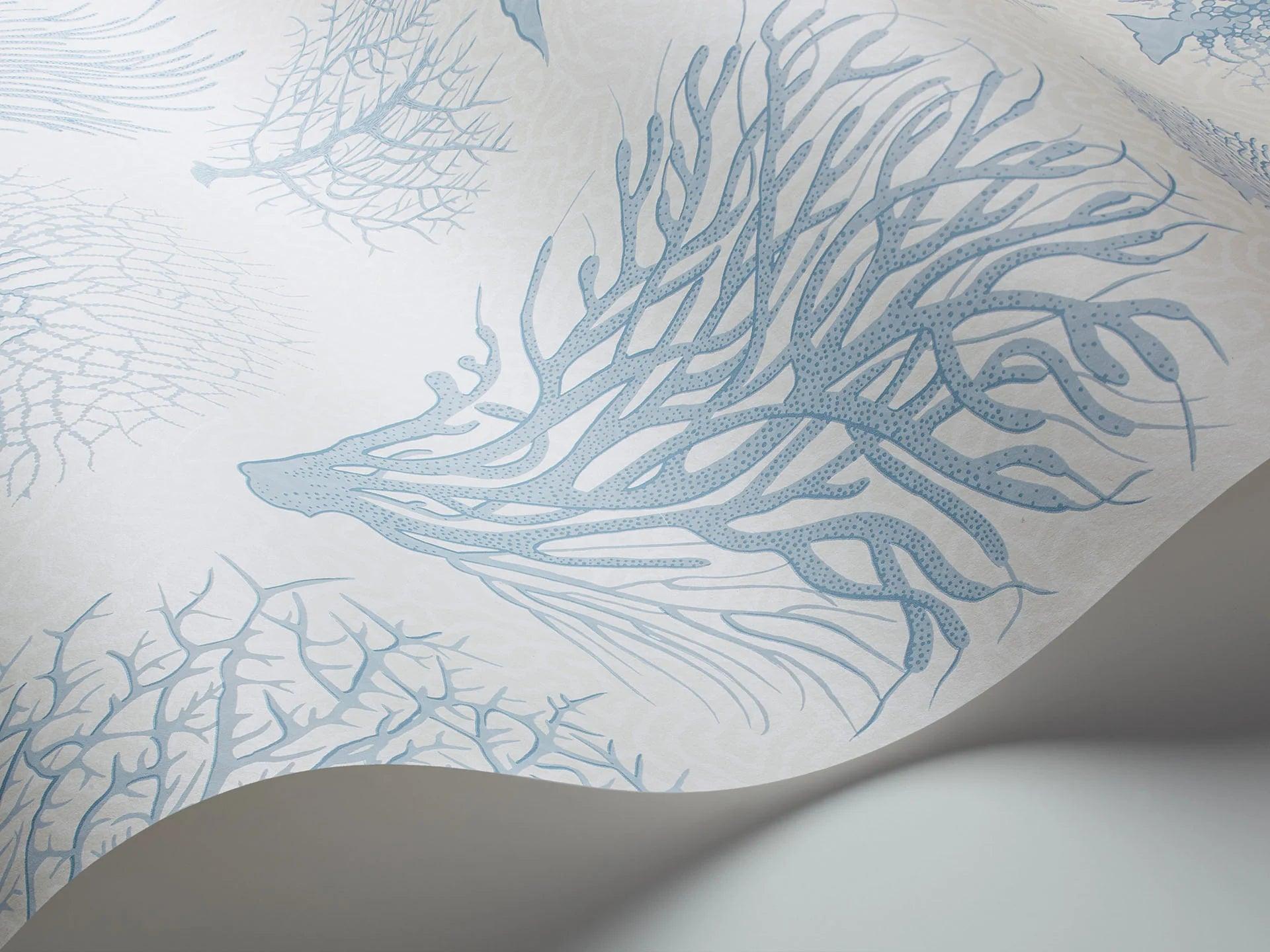 Tapeta CURIO - Seafern błękit na białym Cole & Son Eye on Design
