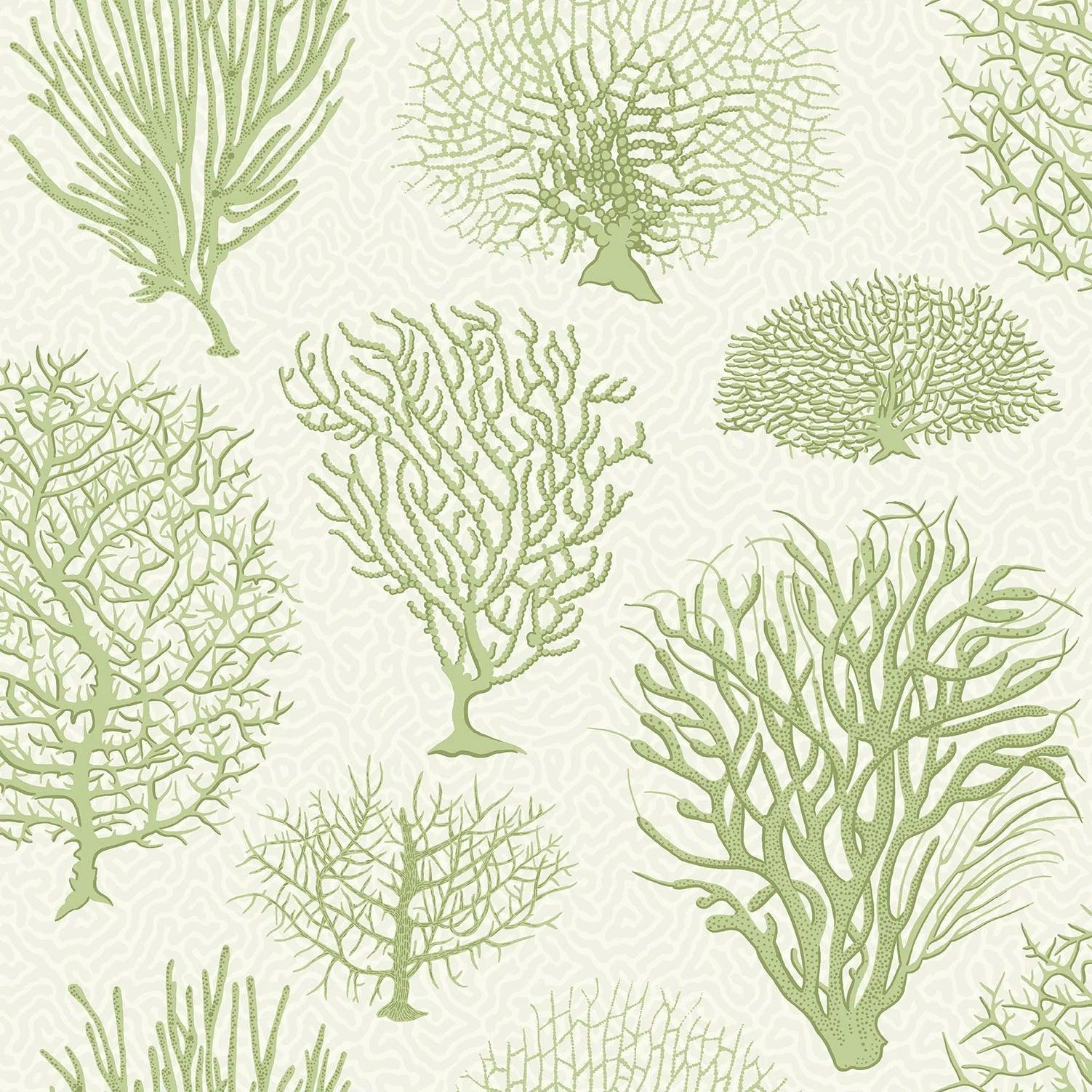 Tapeta CURIO - Seafern zielony na białym Cole & Son Eye on Design