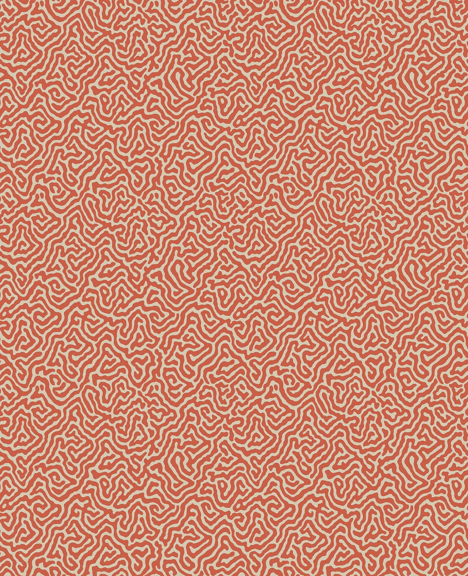 Tapeta CURIO - Vermicelli koral Cole & Son Default Title Eye on Design