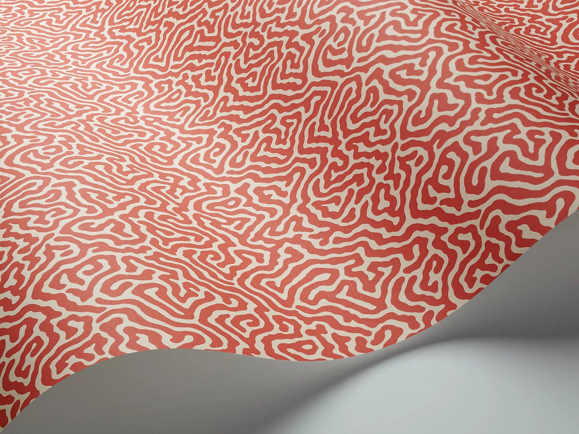 Tapeta CURIO - Vermicelli koral Cole & Son Eye on Design