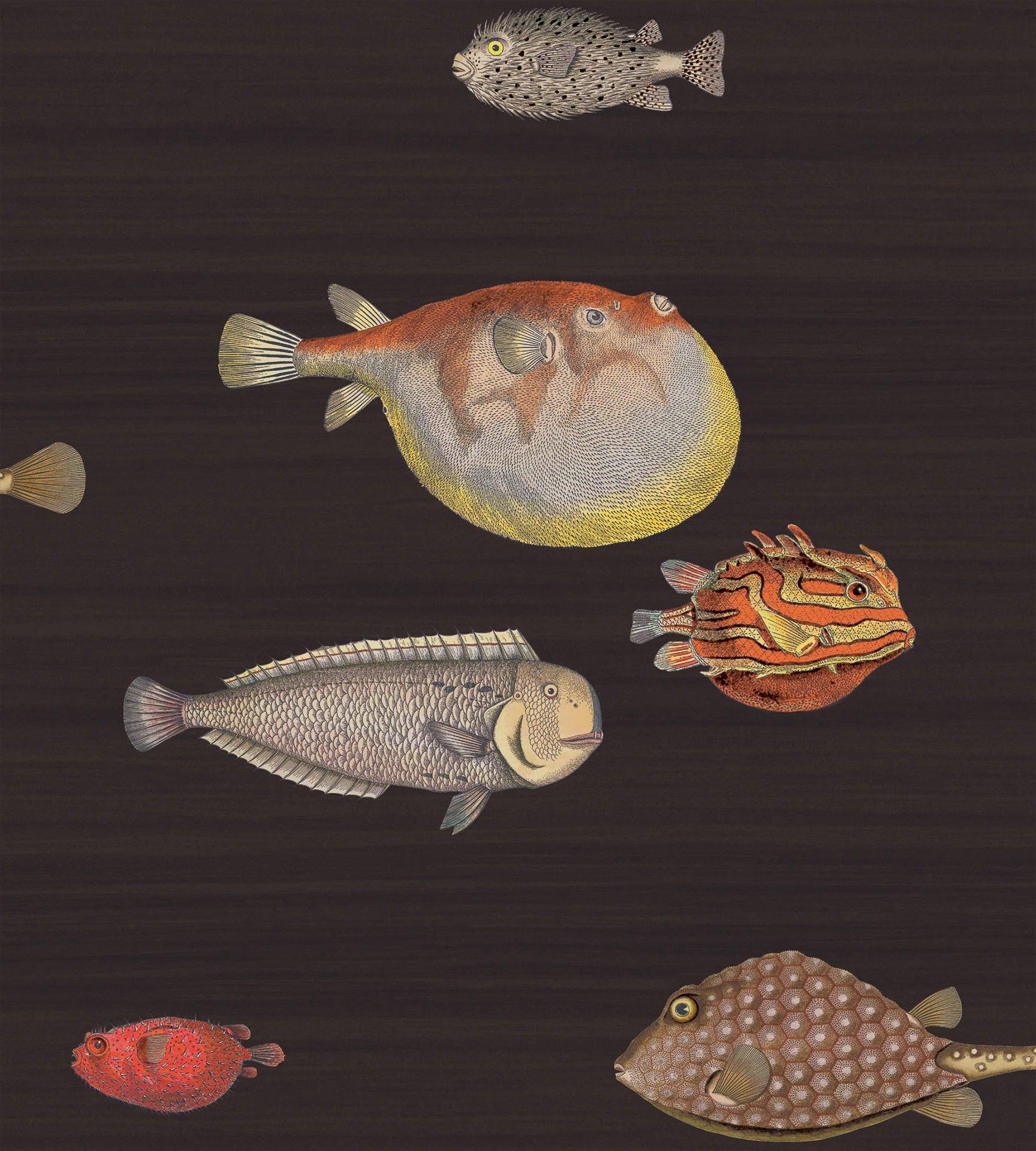 Tapeta FORNASETTI - Acquario czarny Cole & Son Default Title Eye on Design