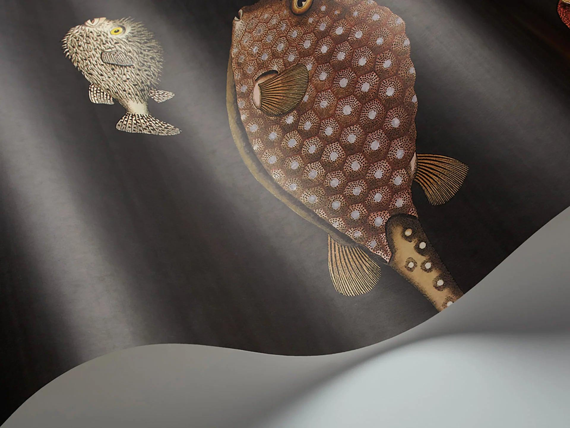 Tapeta FORNASETTI - Acquario czarny Cole & Son Eye on Design