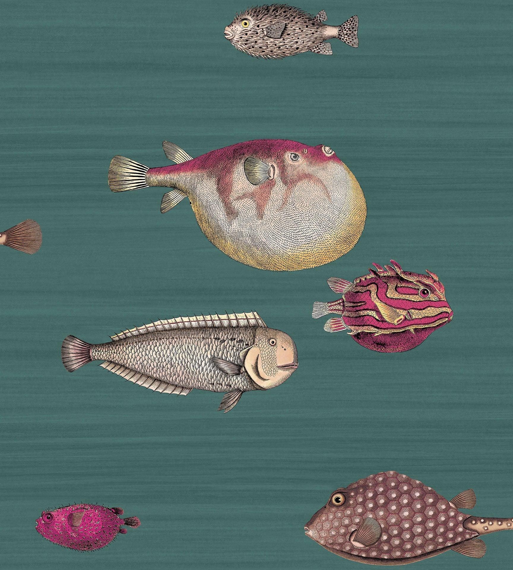 Tapeta FORNASETTI - Acquario zielony Cole & Son Default Title Eye on Design