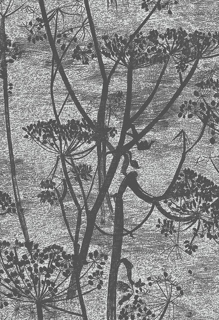 Tapeta ICONS - Cow Parsley czarny Cole & Son Eye on Design