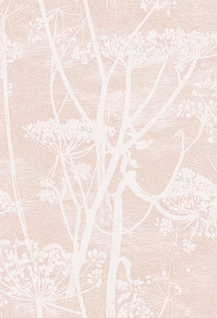 Tapeta ICONS - Cow Parsley różowy Cole & Son Eye on Design