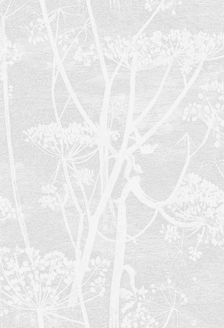 Tapeta ICONS - Cow Parsley szary Cole & Son Eye on Design