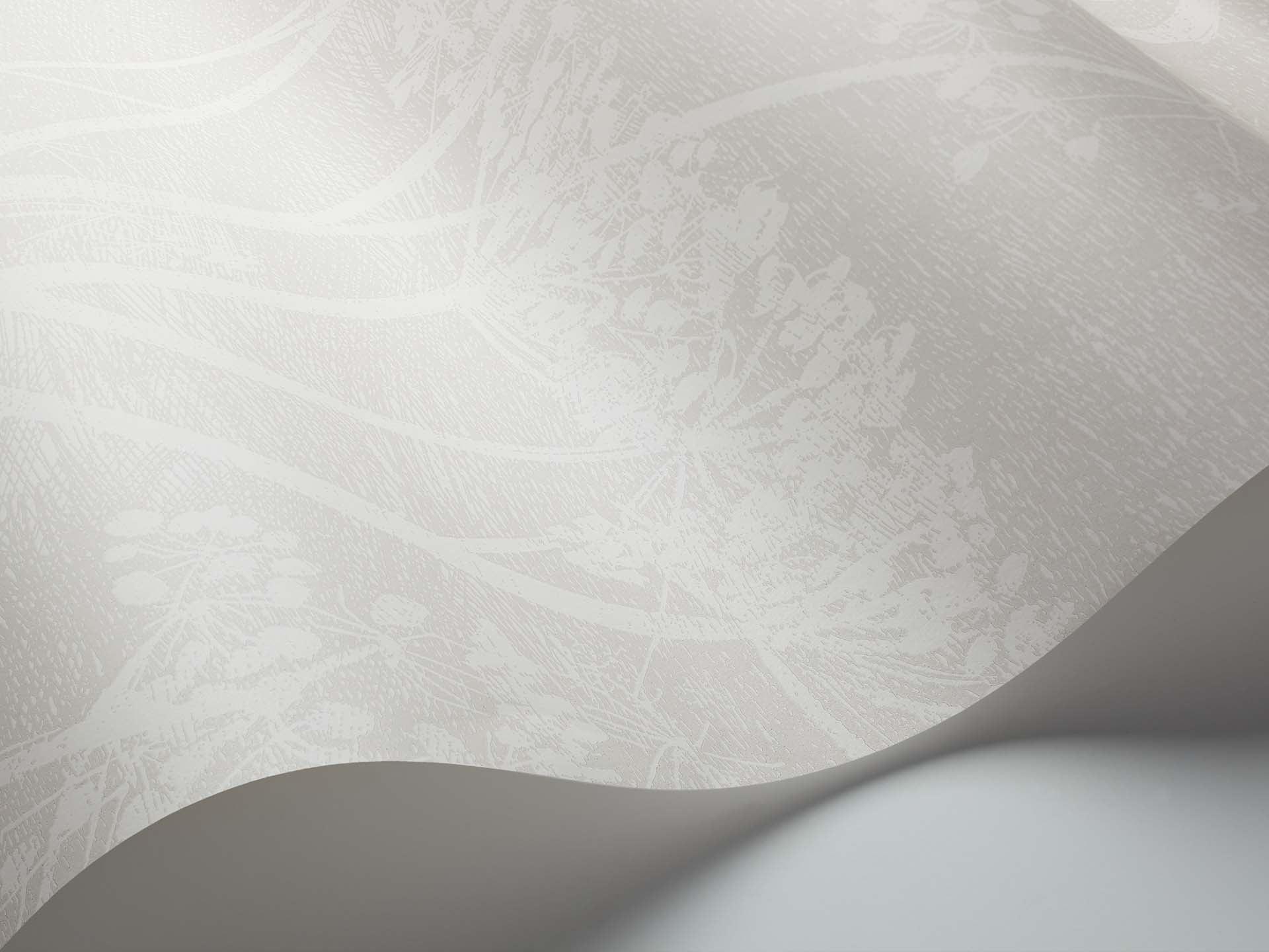 Tapeta ICONS - Cow Parsley szary Cole & Son Eye on Design