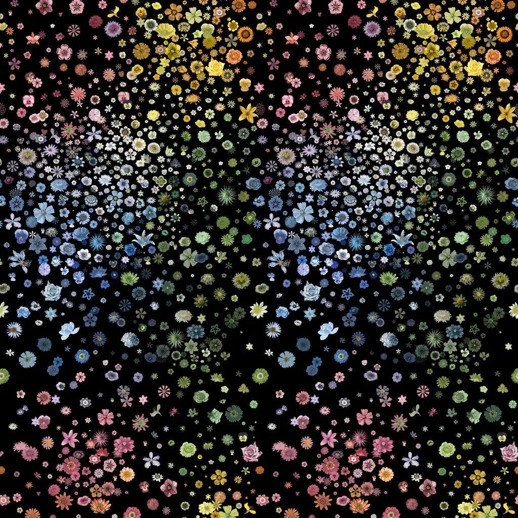 Tapeta JARDIN DES HESPERIDES czarny Christian Lacroix Eye on Design