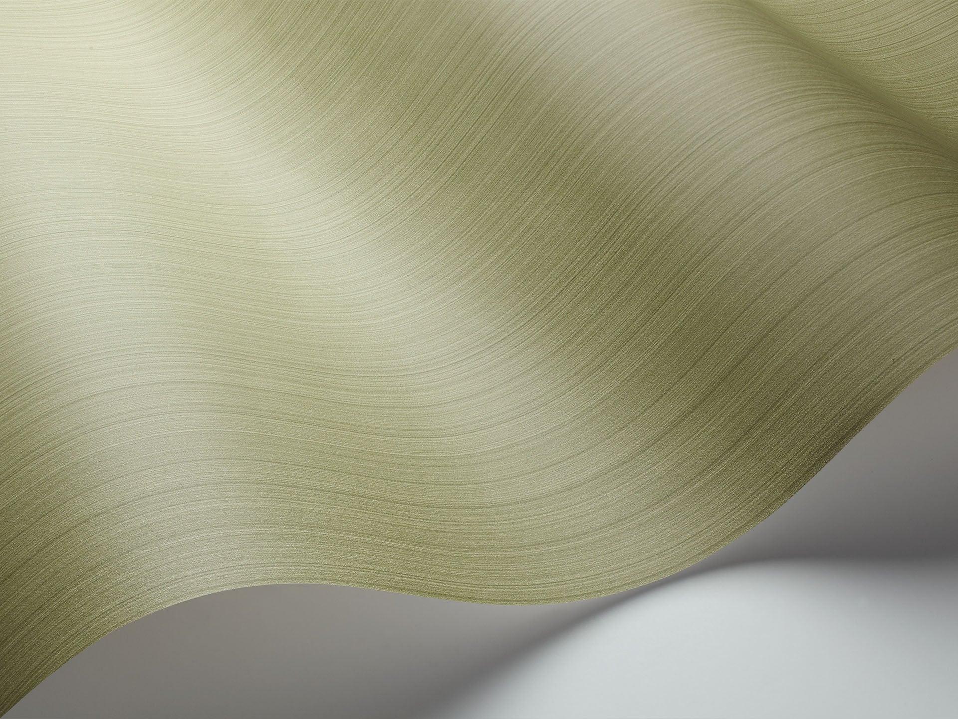 Tapeta LANDSCAPE PLAINS - Jaspe ciemna oliwka Cole & Son Eye on Design