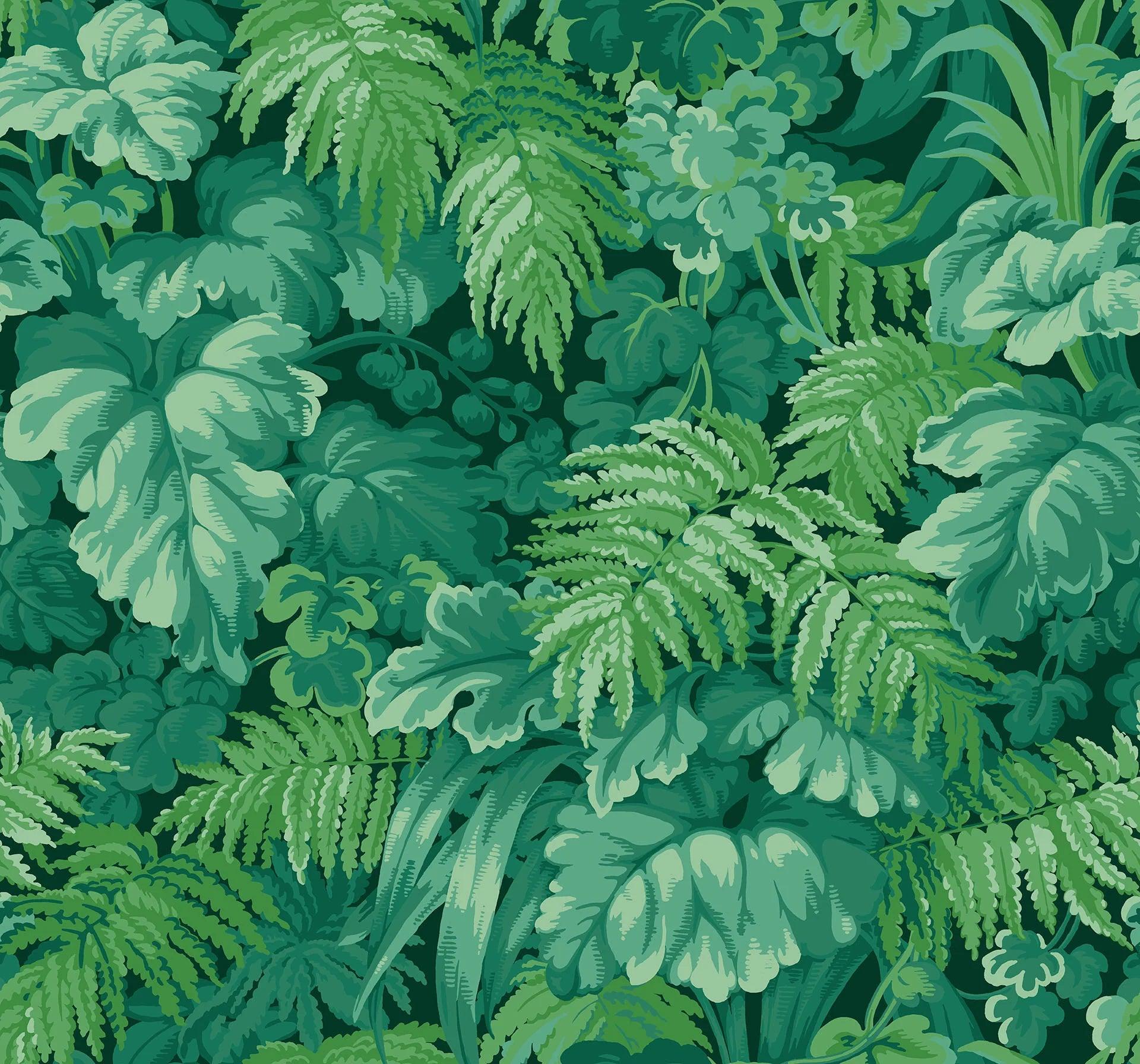 Tapeta MARTYN LAWRENCE BULLARD - Royal Fernery zielony Cole & Son Eye on Design
