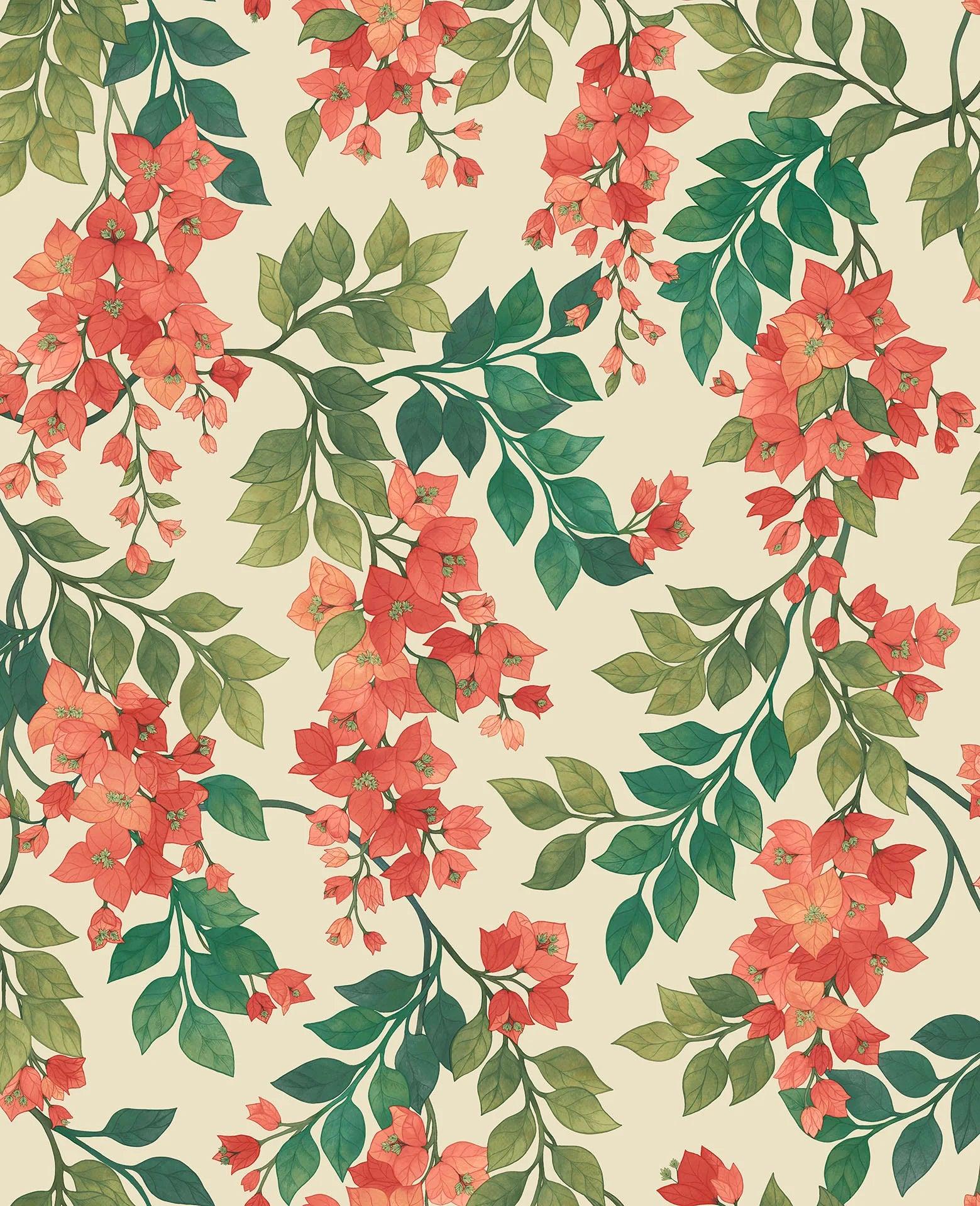 Tapeta SEVILLE - Bougainvillea czerwony na kremie Cole & Son Eye on Design