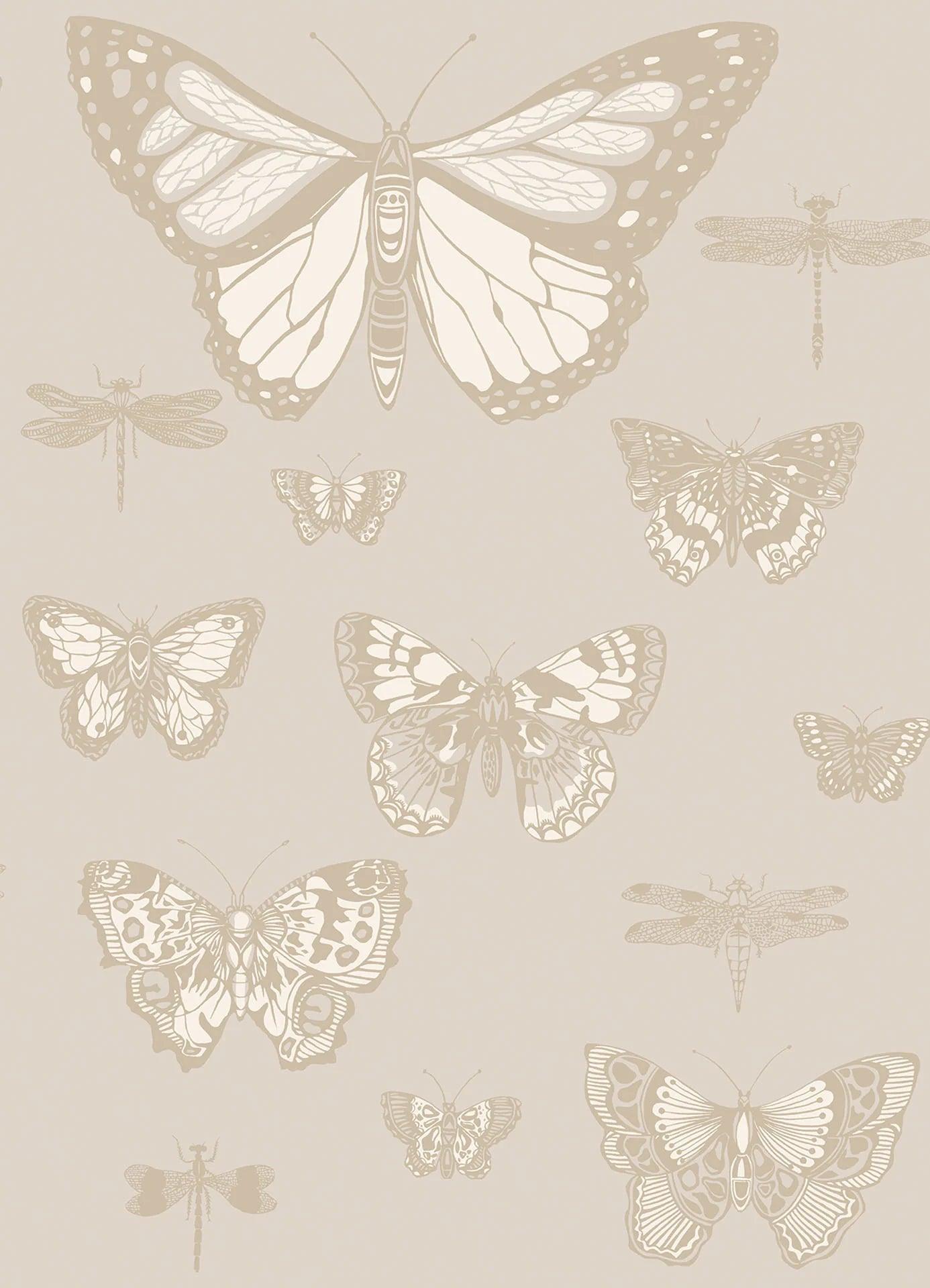 Tapeta WHIMSICAL - Butterflies & Dragonflies beżowy Cole & Son Eye on Design