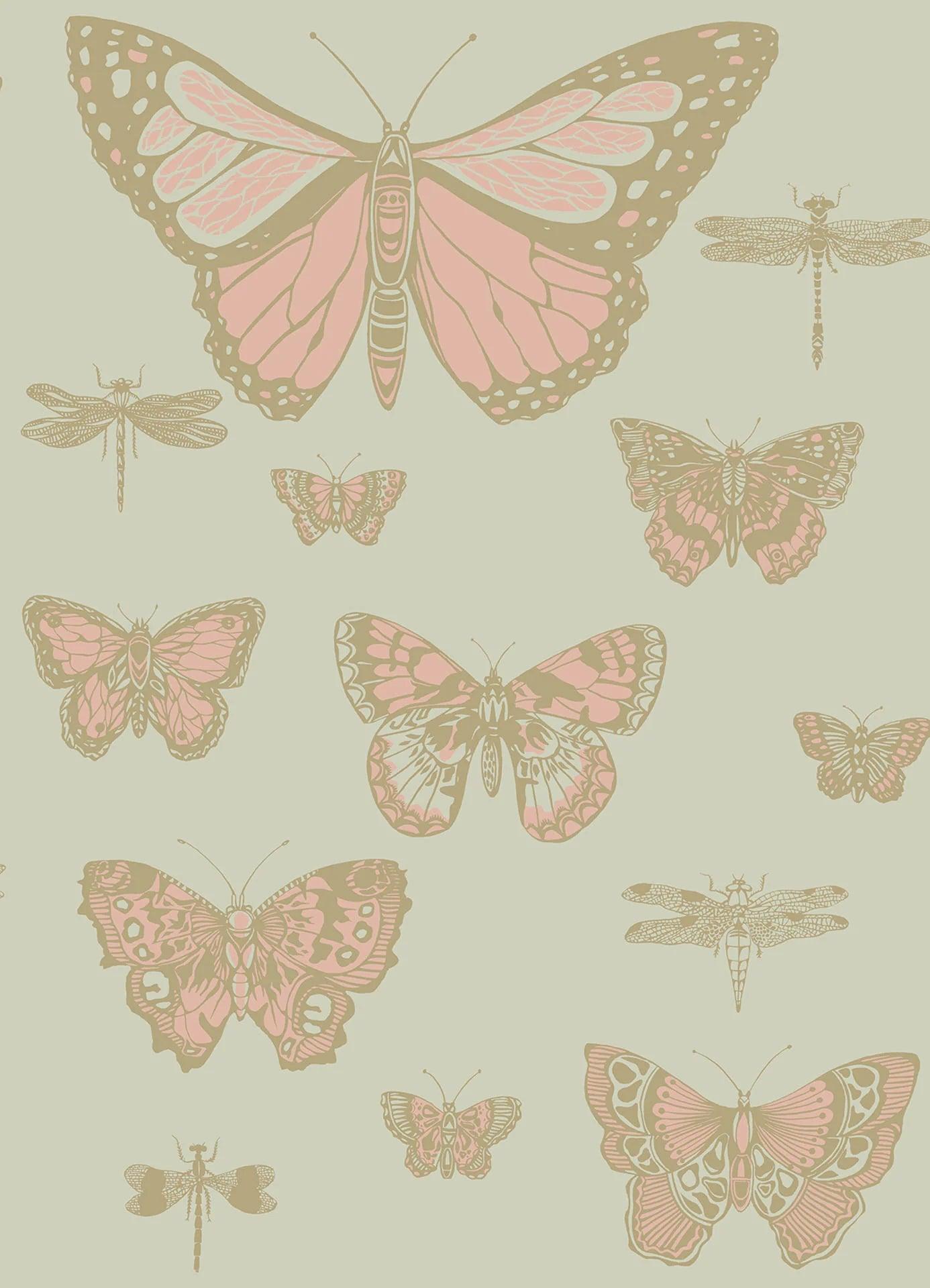 Tapeta WHIMSICAL - Butterflies & Dragonflies zielony Cole & Son Eye on Design