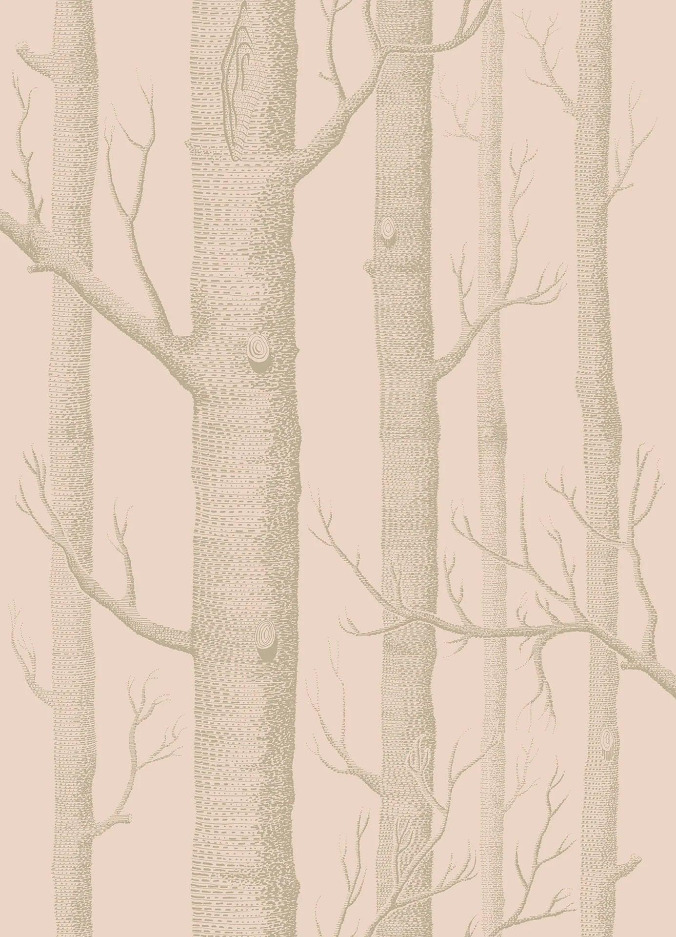 Tapeta WHIMSICAL - Woods brzoskwiniowy Cole & Son Eye on Design