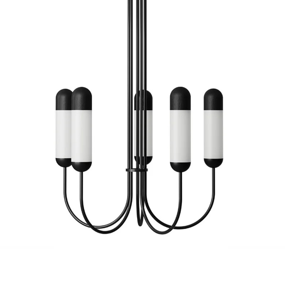 FUNSUI black chandelier