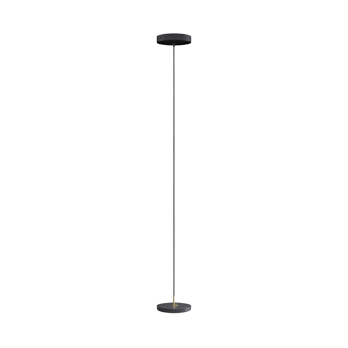 Pendelleuchte ASTERIA MICRO anthrazit mit goldener Einlage