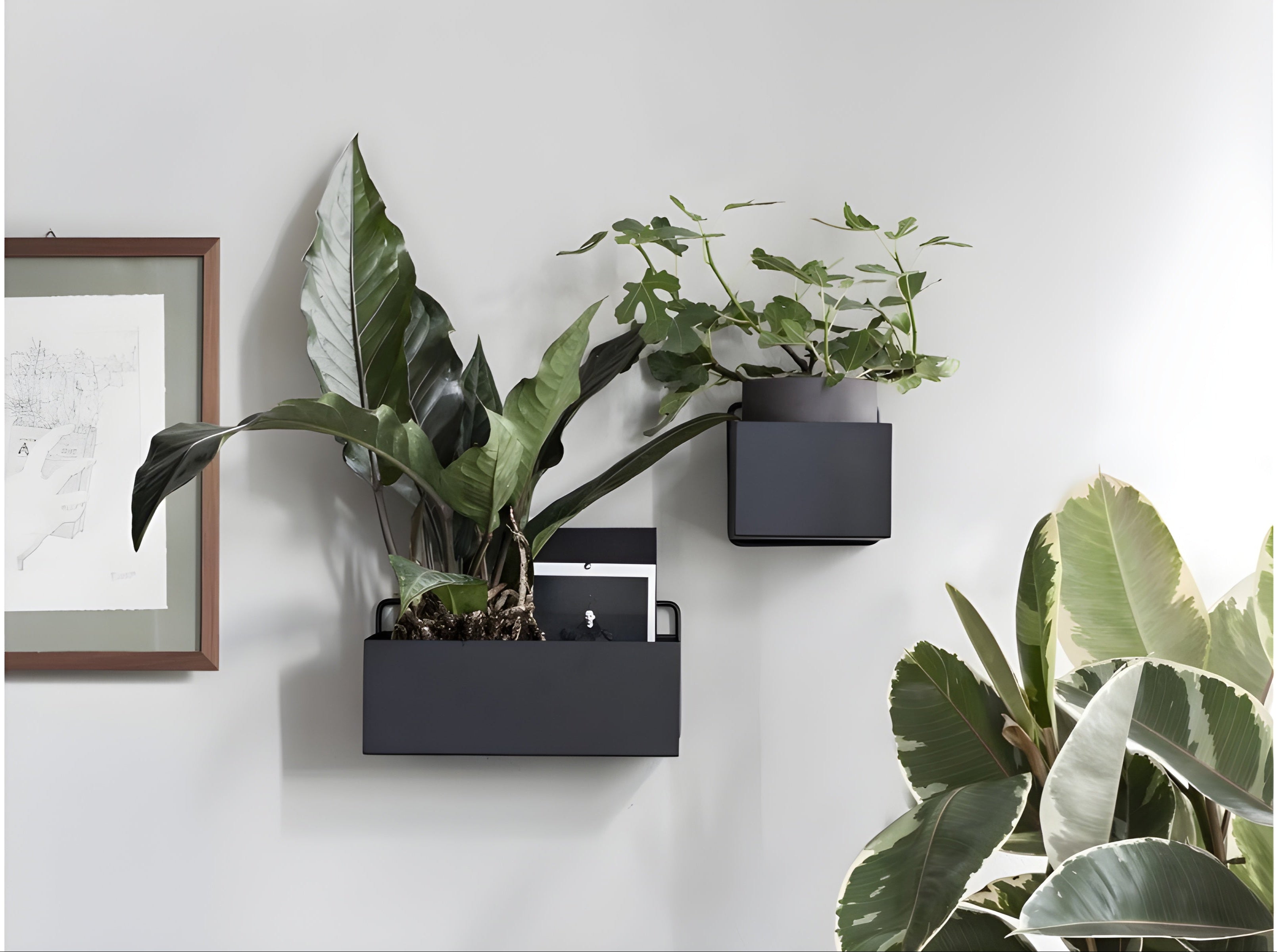 Hanging planter WALL SQUARE BOX black