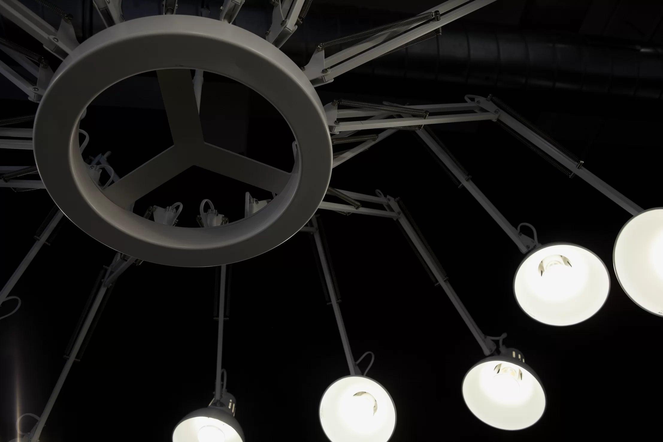 Żyrandol DEAR INGO czarny Moooi Eye on Design