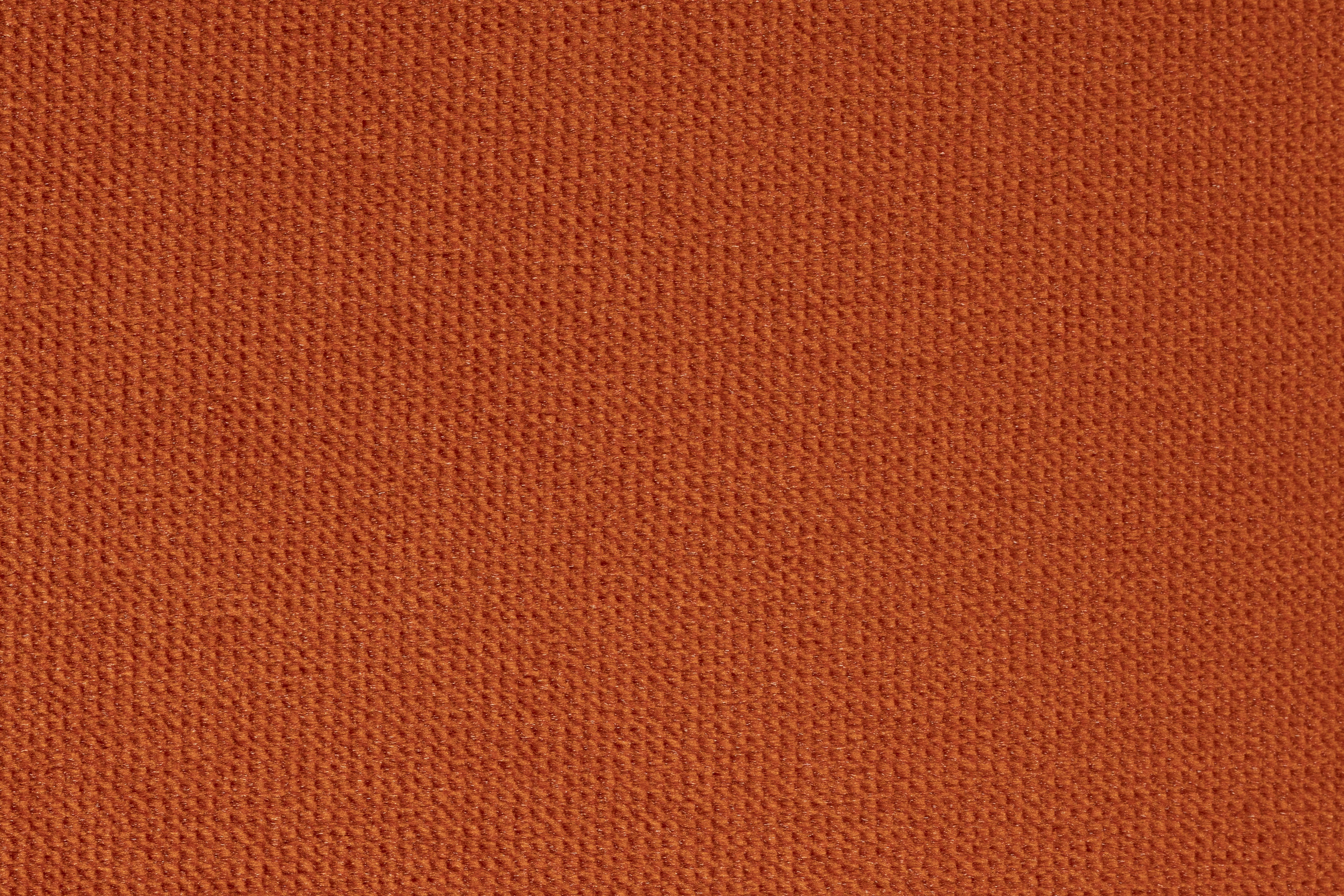 POLLY Orange Armchair