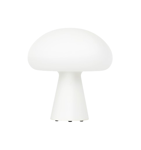 Akku-Lampen