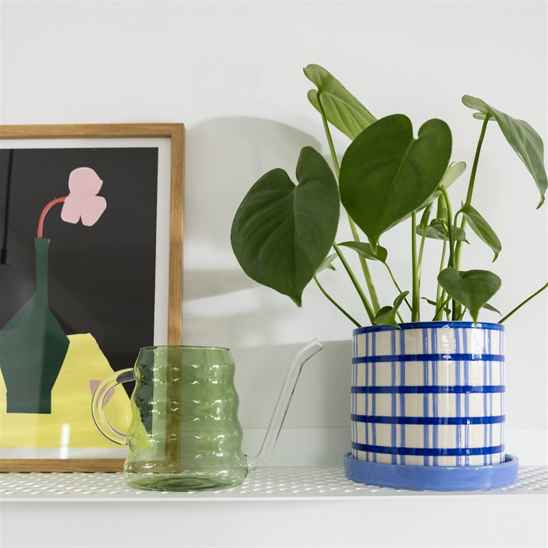 Konewka CAN SWELL grünes Glas