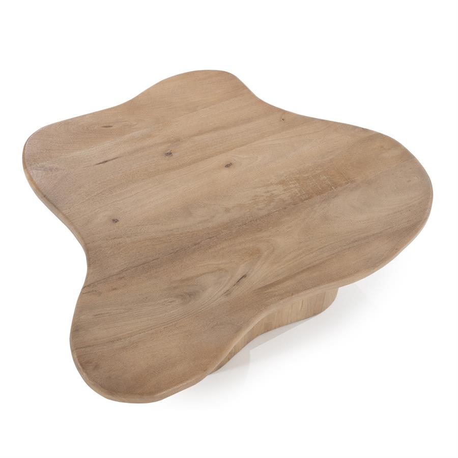 FALL mango wood coffee table set