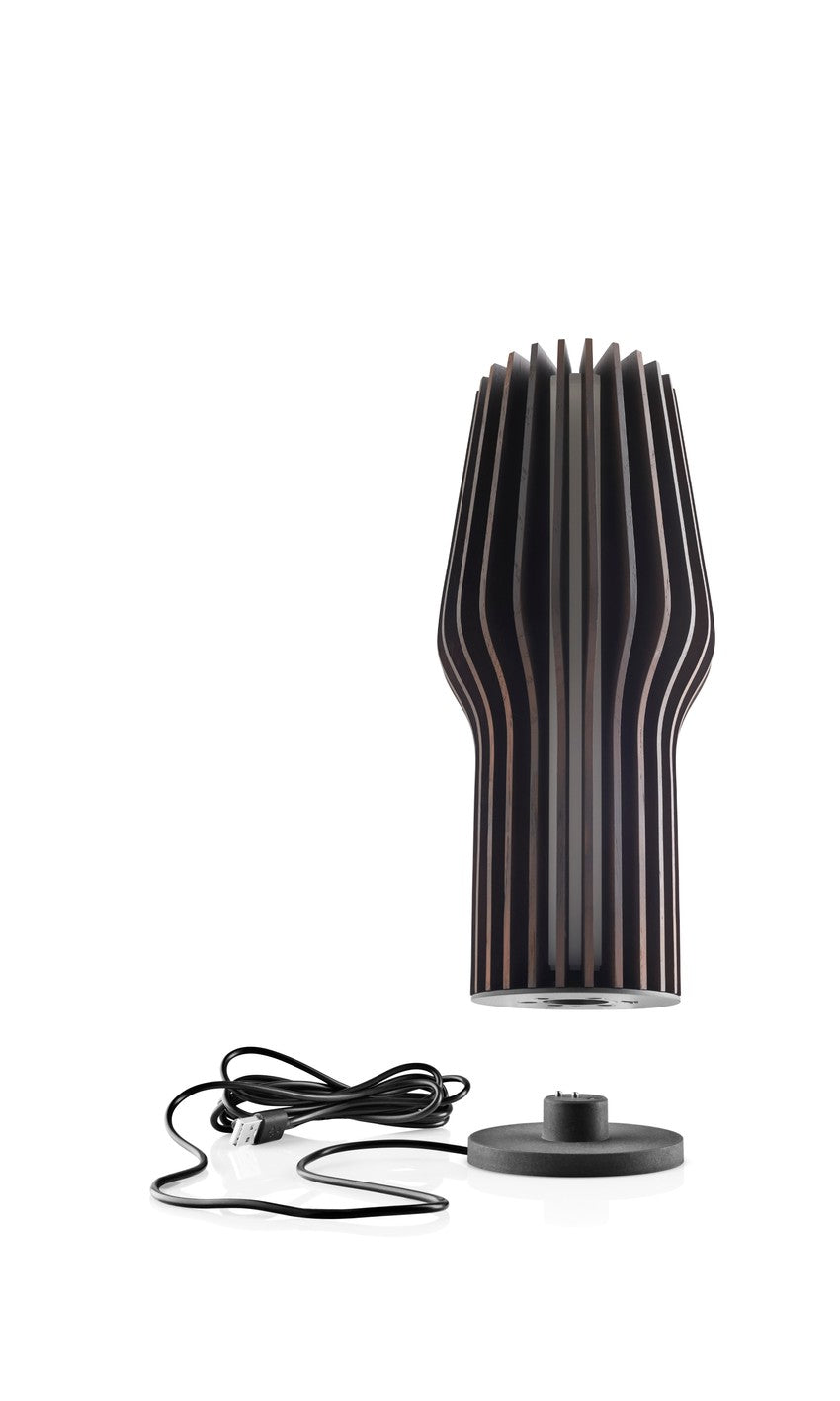 Tragbare Lampe RADIANT rauchige Eiche