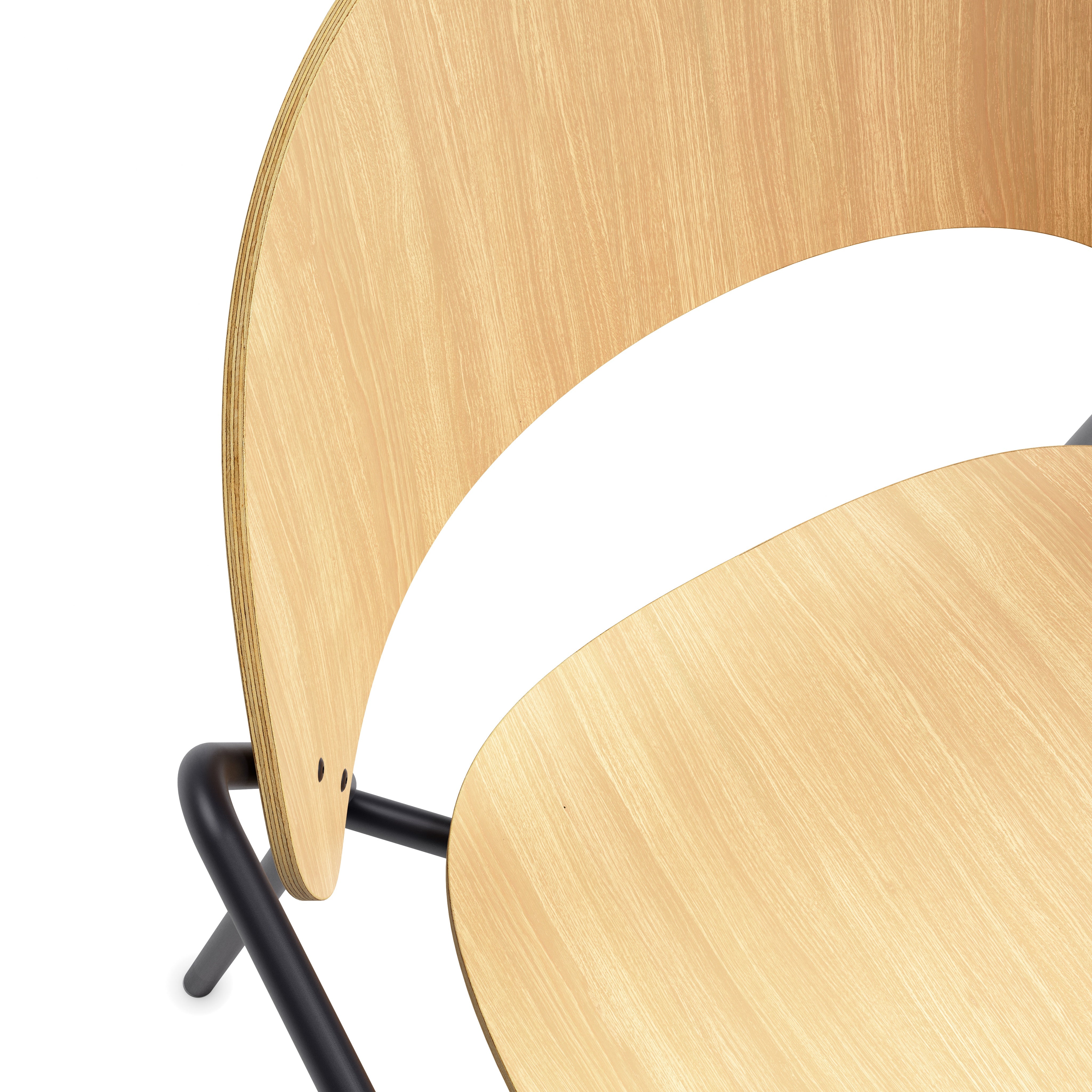 DOSINA Armchair with Oak Veneer
