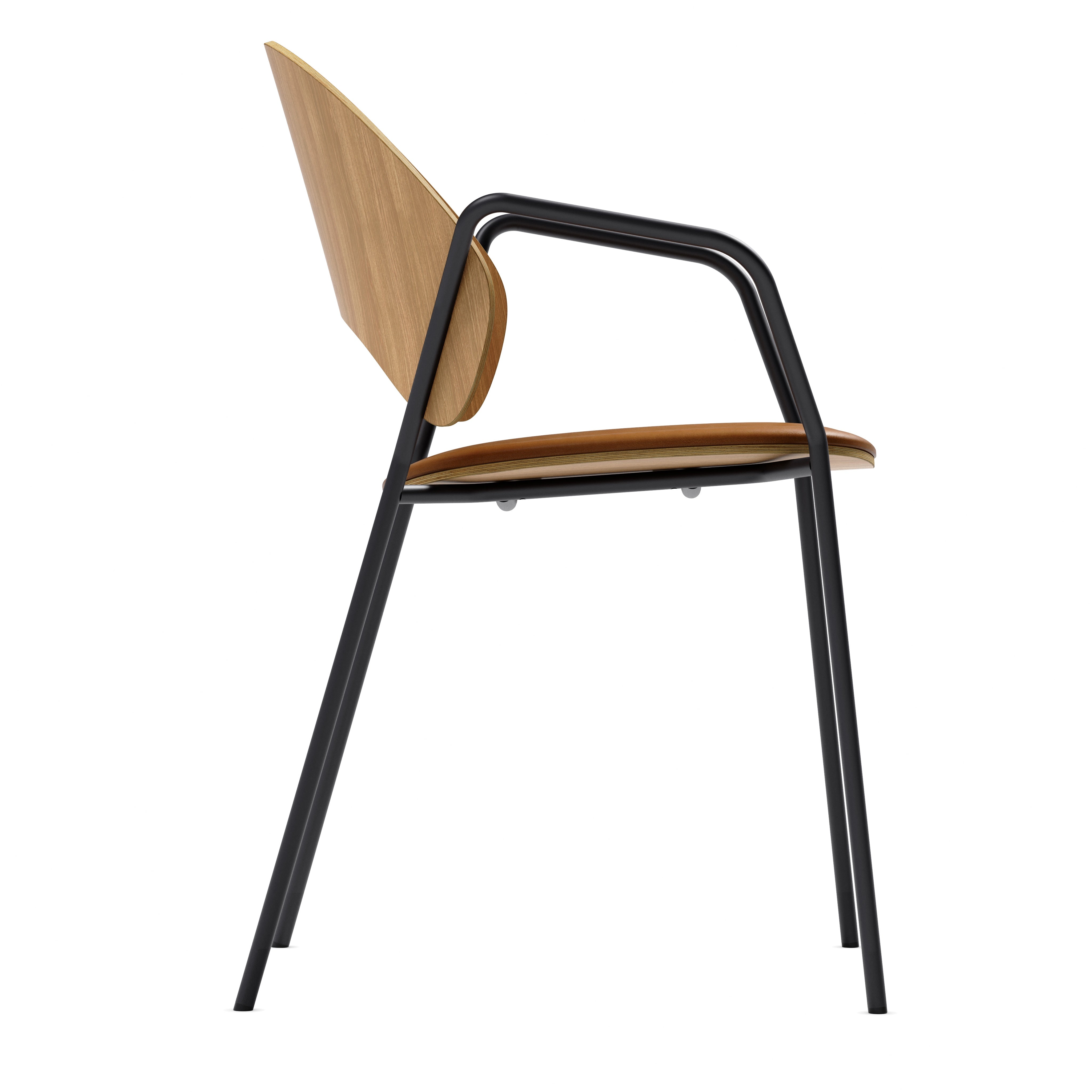 DOSINA Armchair with Oak Veneer