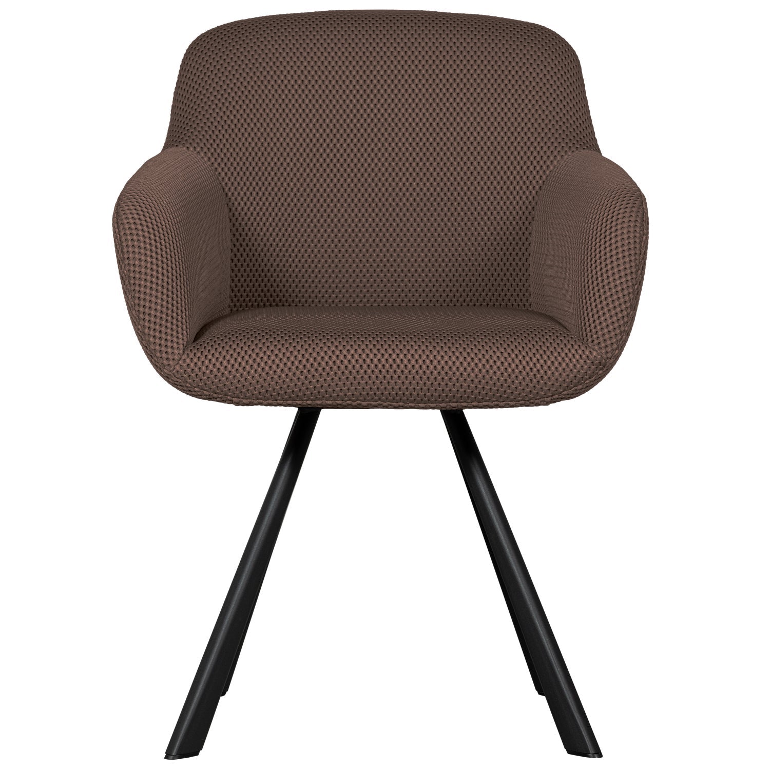 Juno coffee chair
