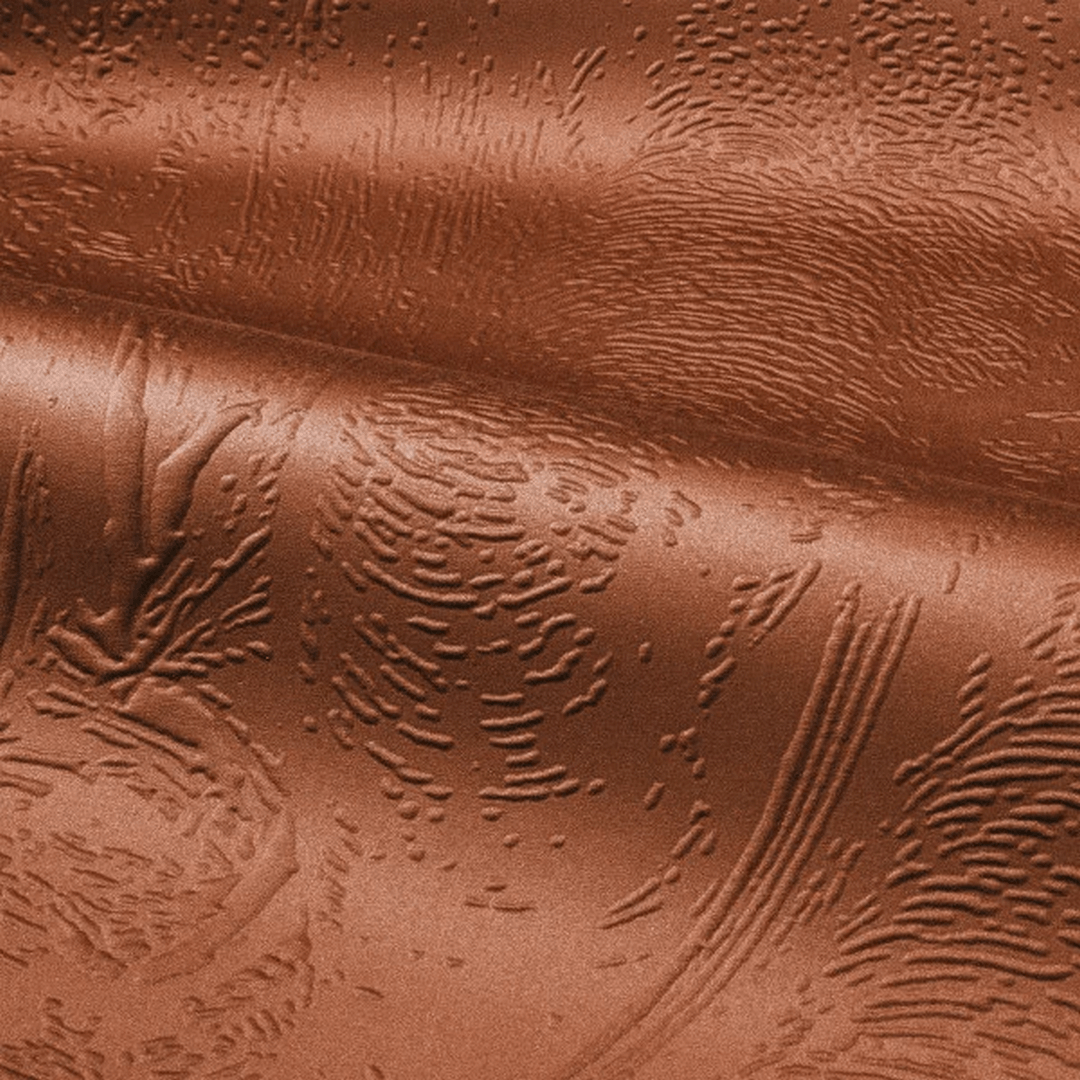 Strukturelles 3D-Textilwandbild mit Tiermotiv MAXIMUS - TERRACOTTA Terakota